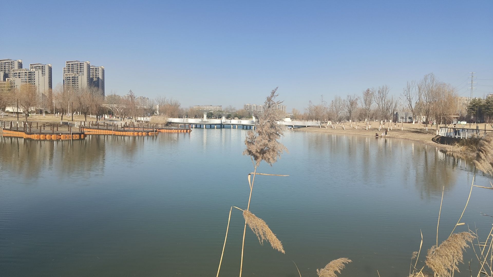 芙蓉湖公园旅行图片 1