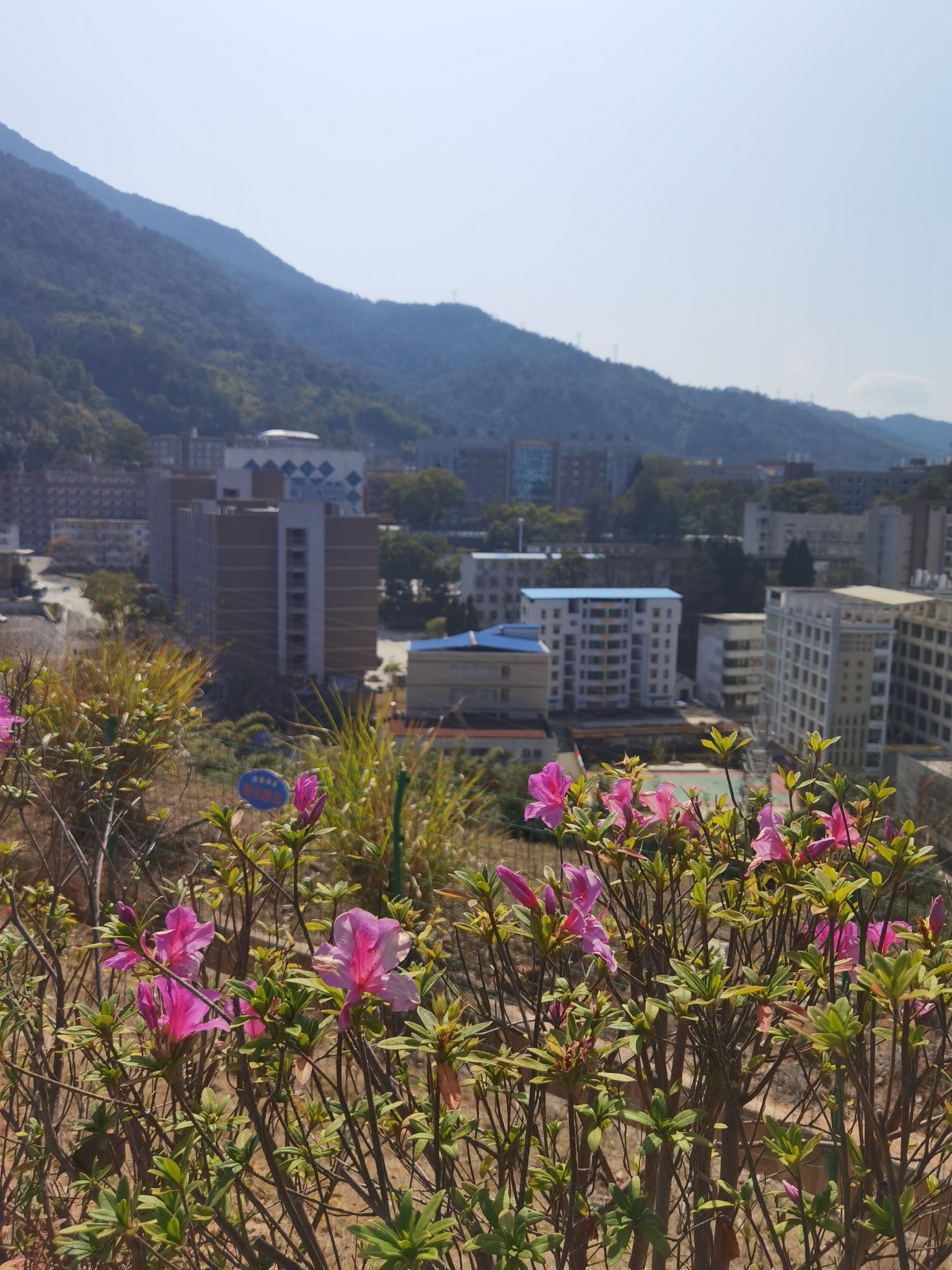 三明儿童公园旅行图片 3