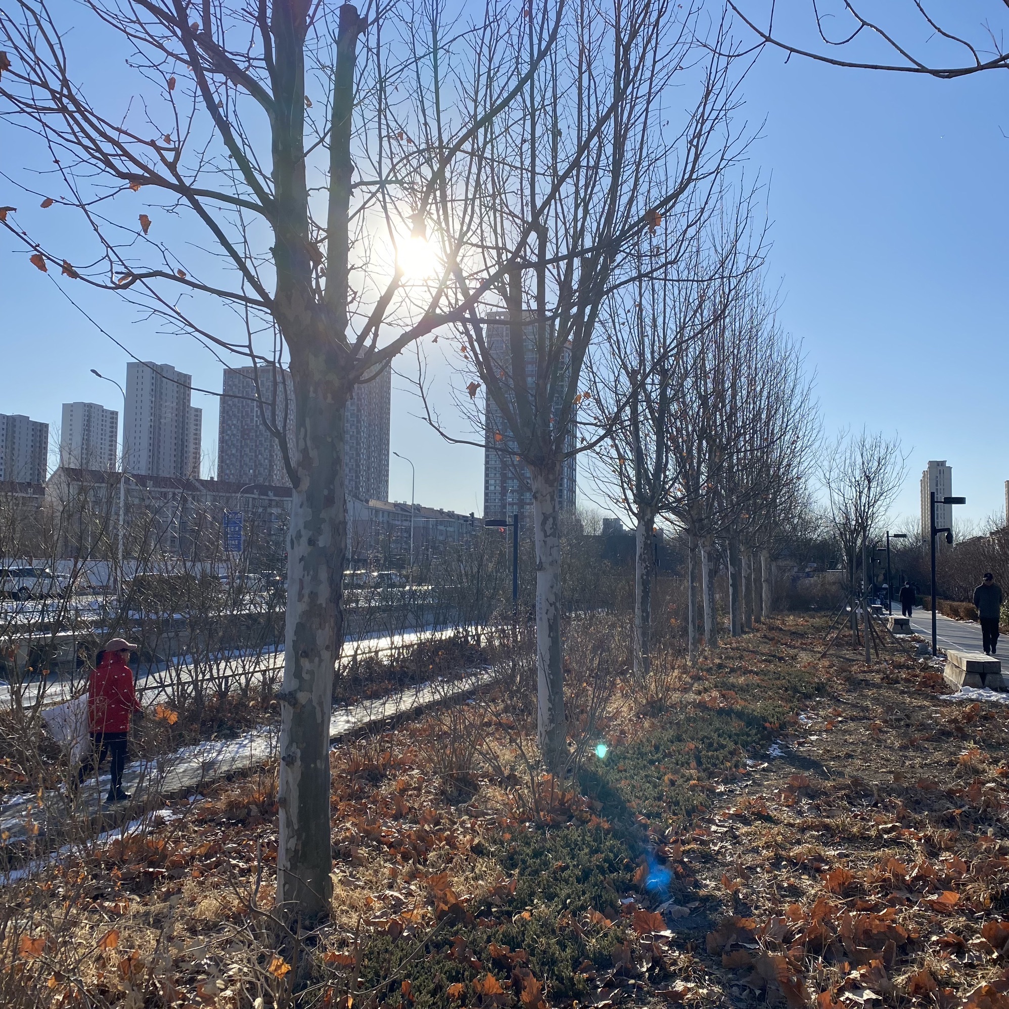 李七庄铁路公园旅行图片 3