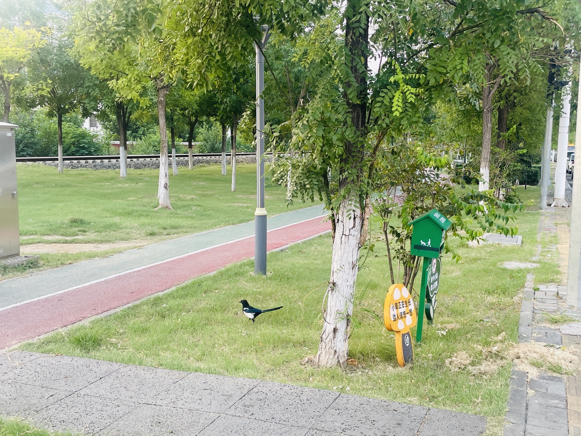 李七庄铁路公园旅行图片 3
