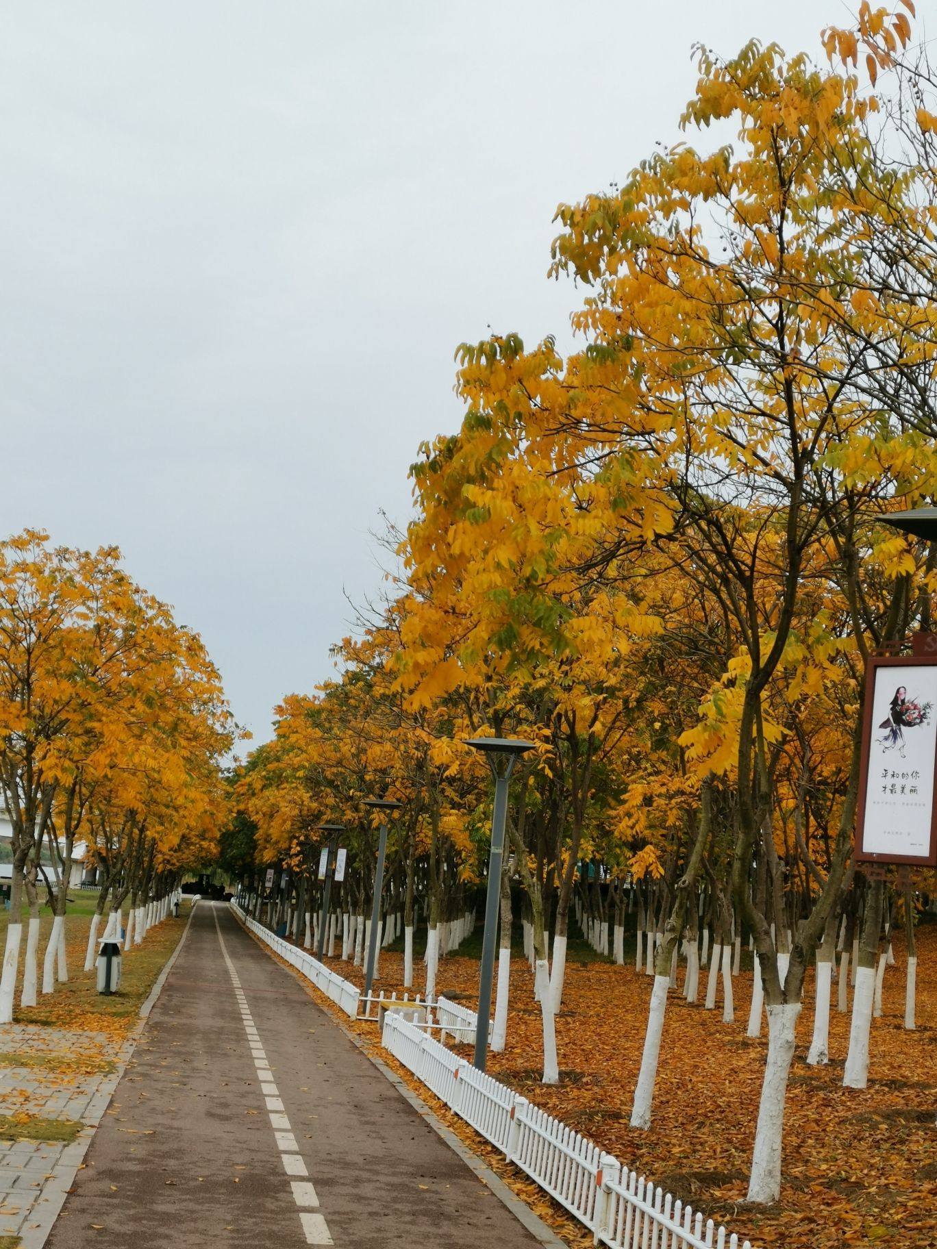 宿州乐湖公园旅行图片 1