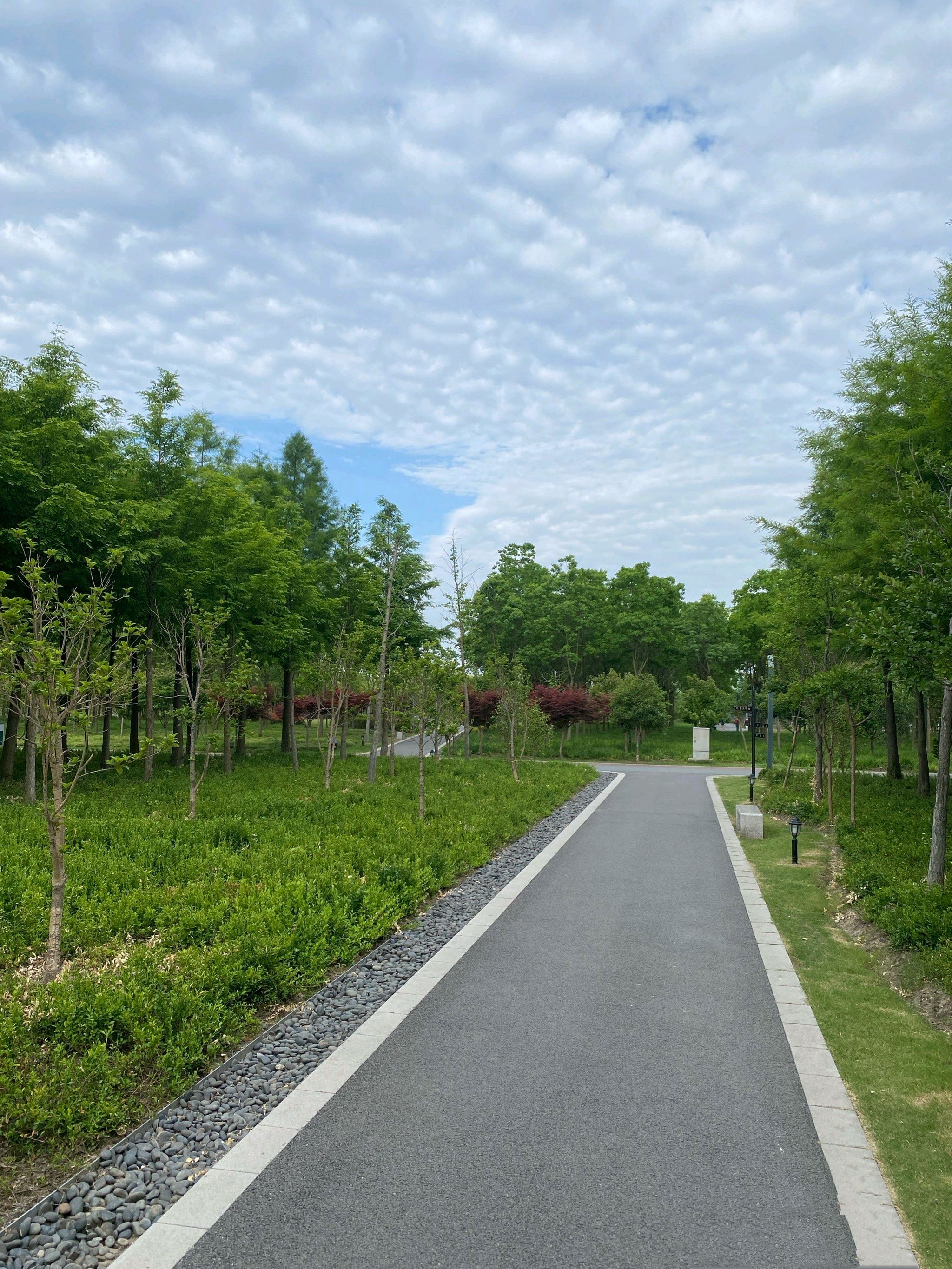 华隆公园旅行图片 3