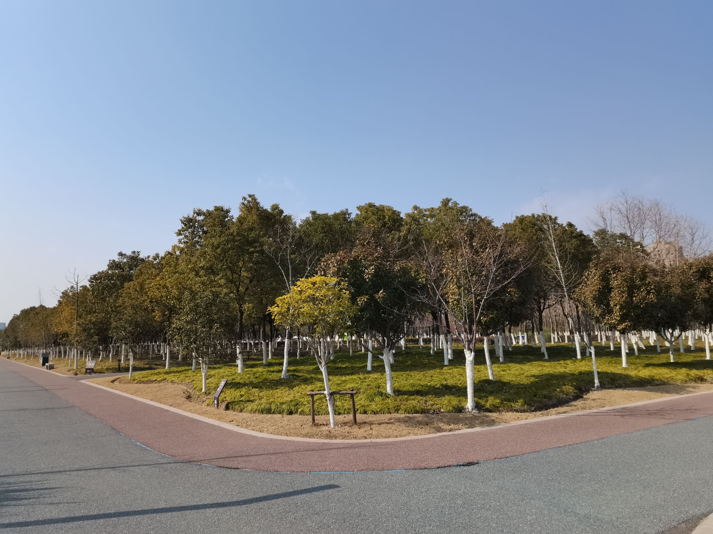 华隆公园旅行图片 2