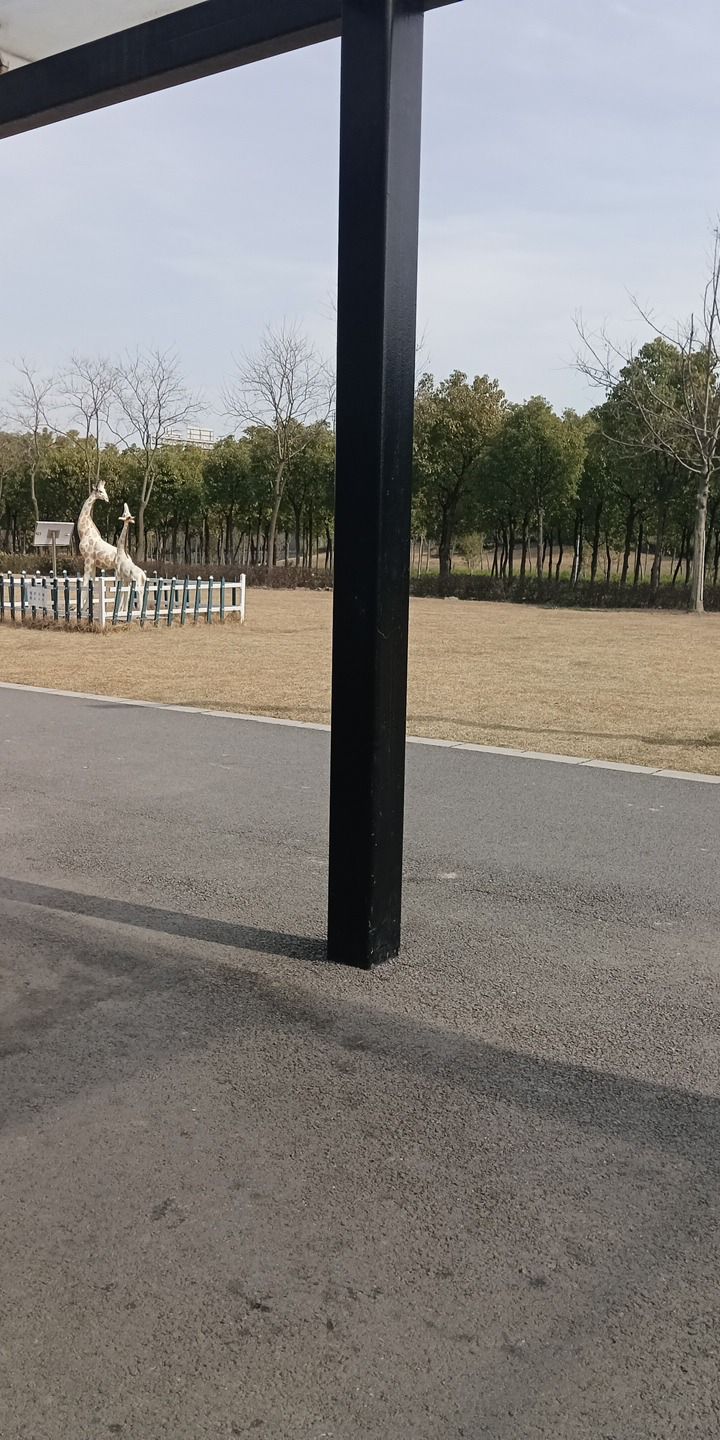 华隆公园旅行图片 1