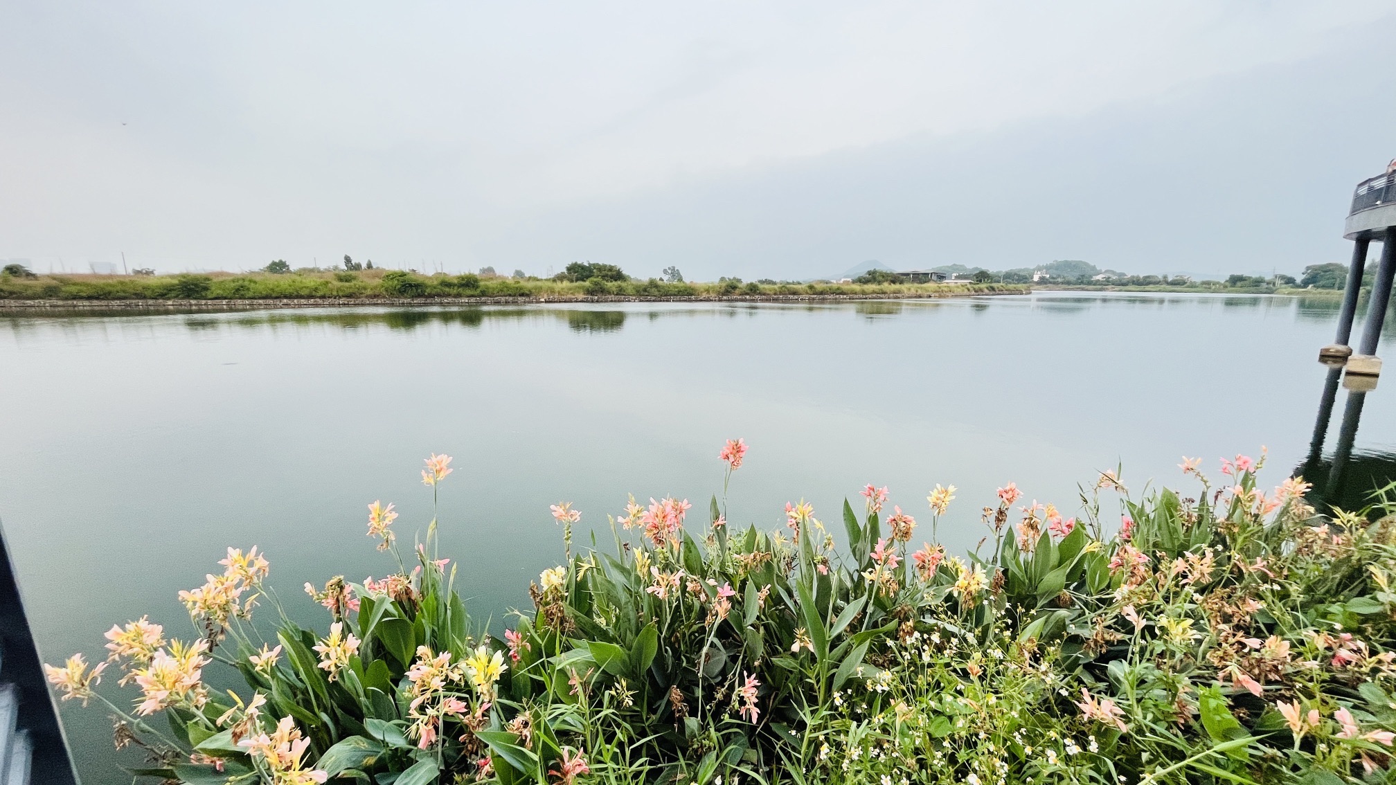 丽江公园旅行图片 3