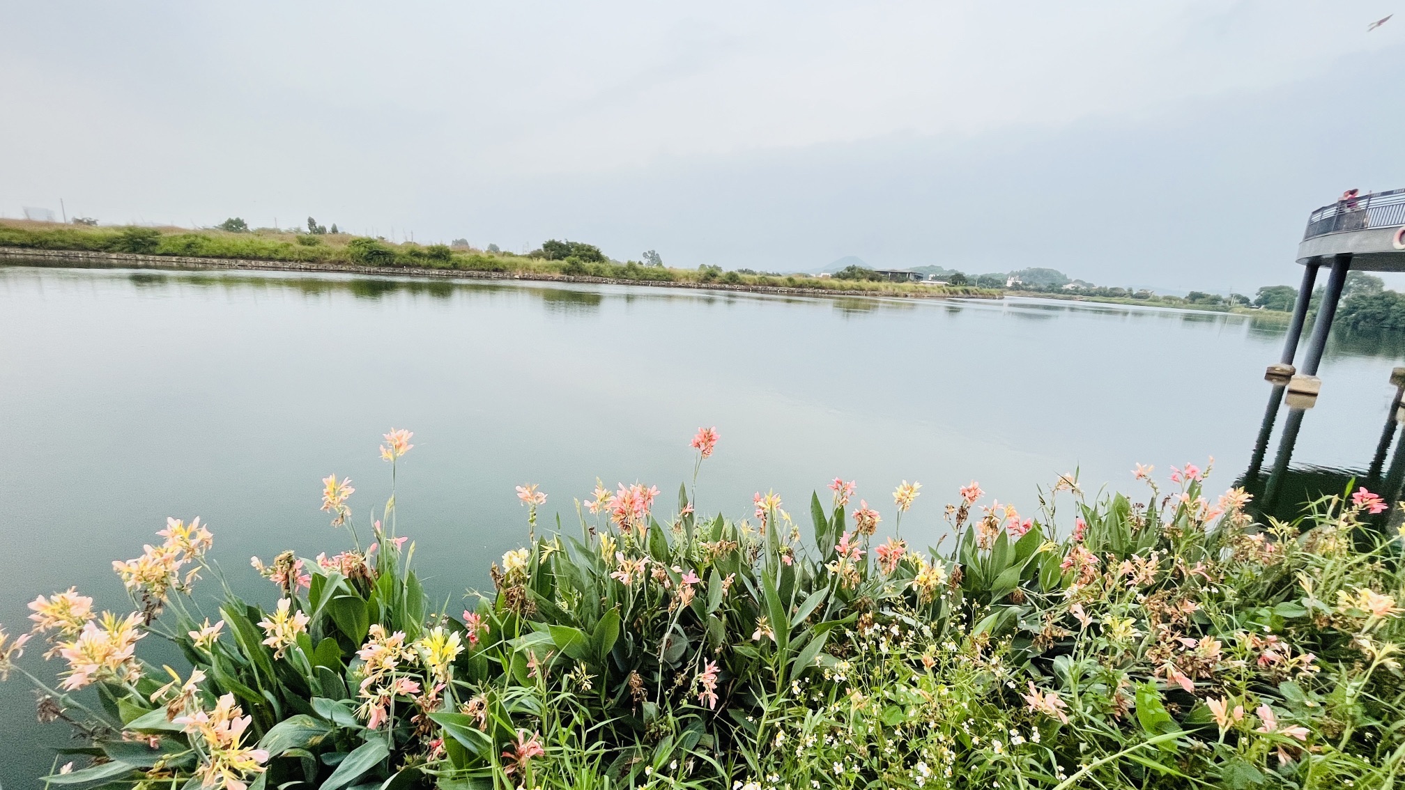 丽江公园旅行图片 2