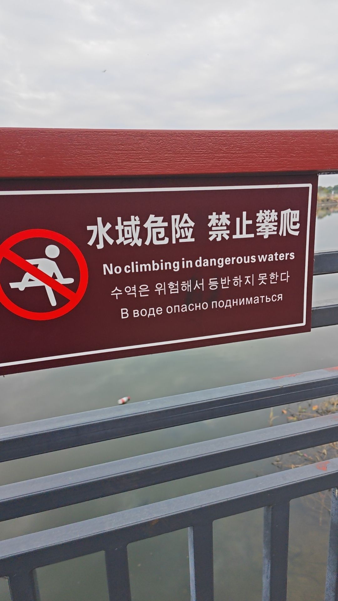 丽江公园旅行图片 2