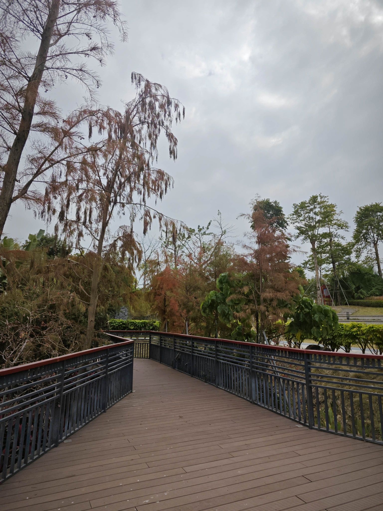 丽江公园旅行图片 1