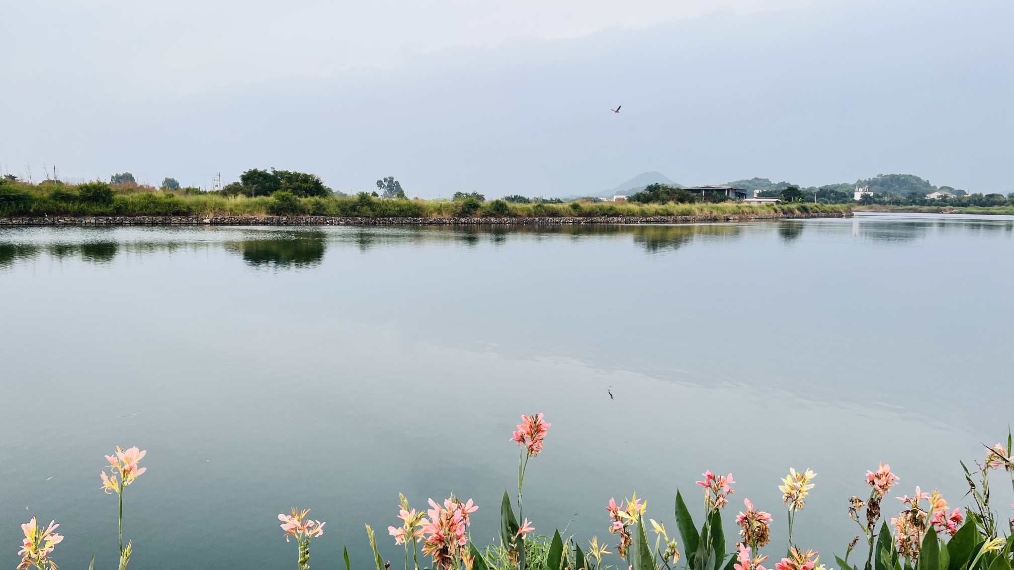 丽江公园旅行图片 1