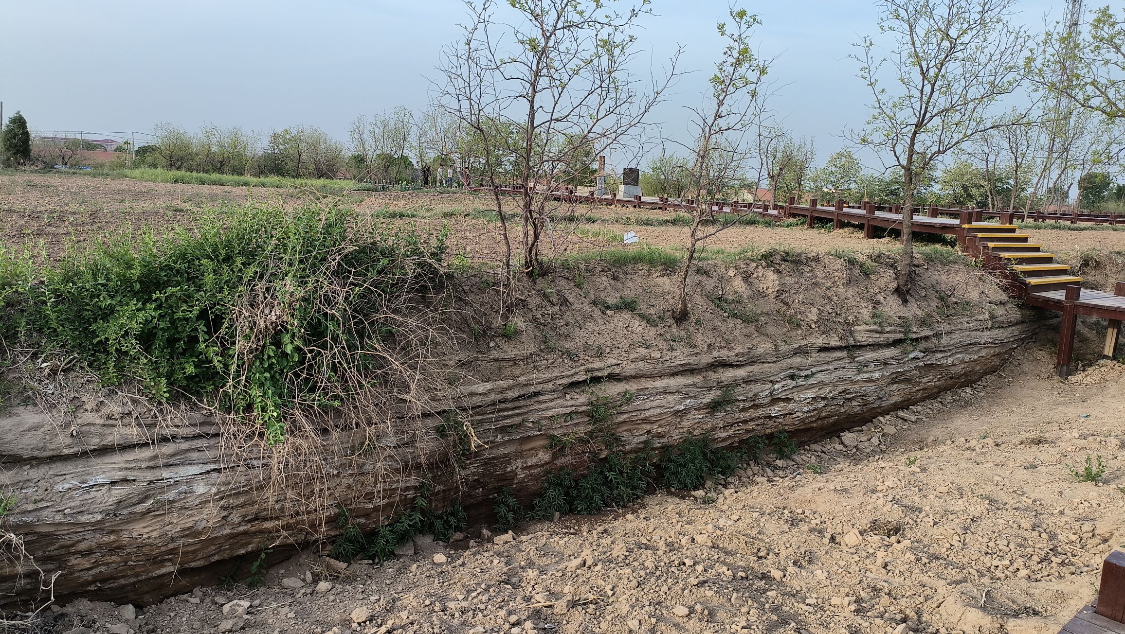 小山火山地质公园旅行图片 2