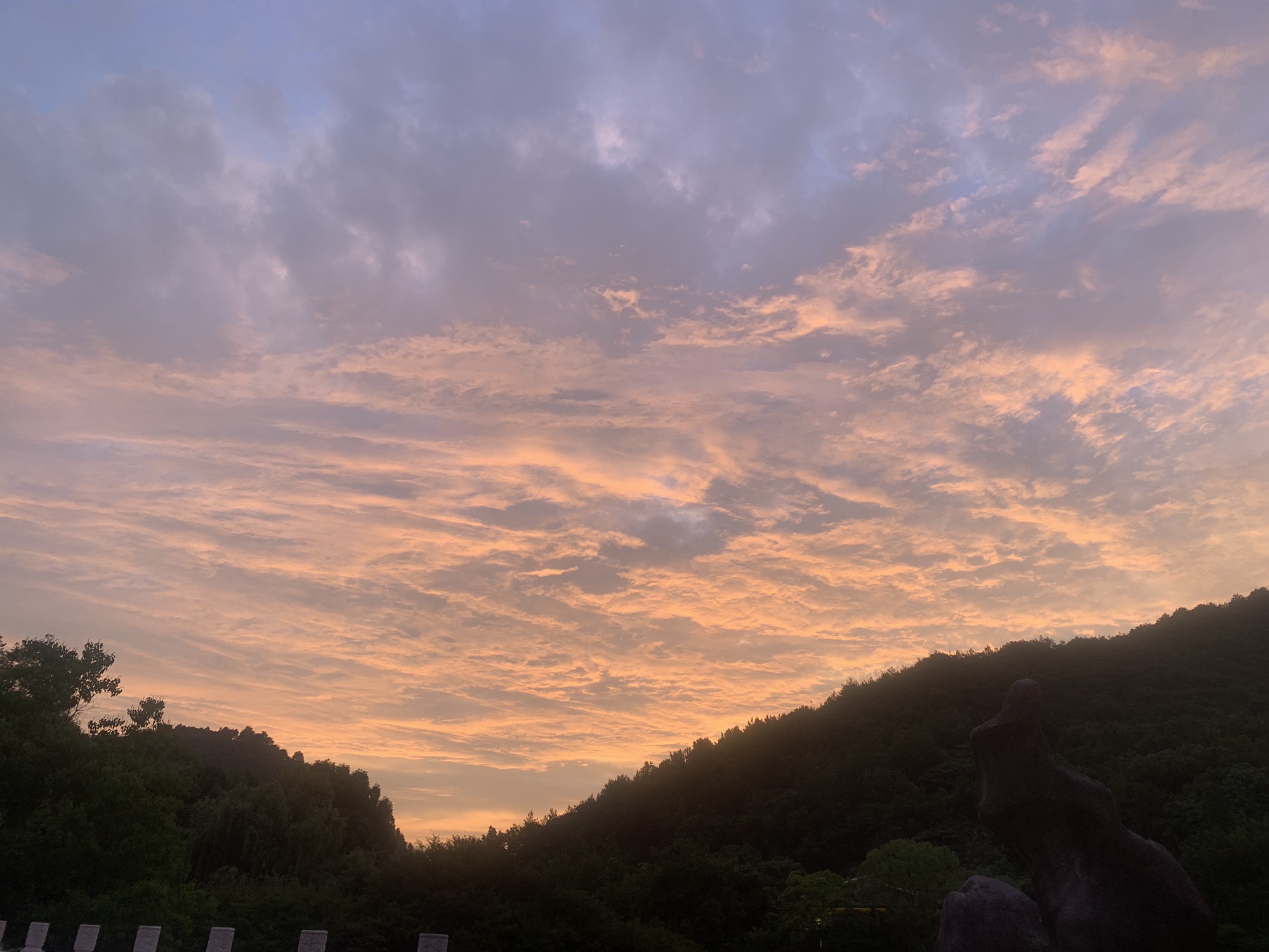 路桥区儿童公园旅行图片 3