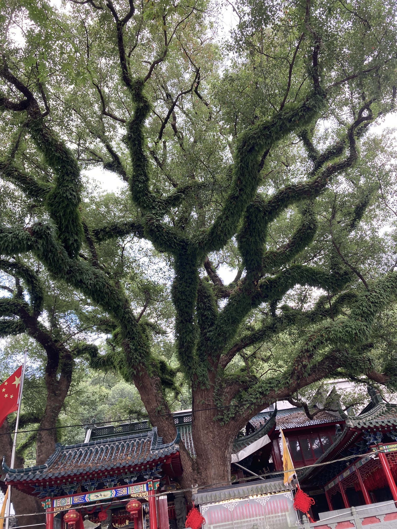 路桥区儿童公园旅行图片 2