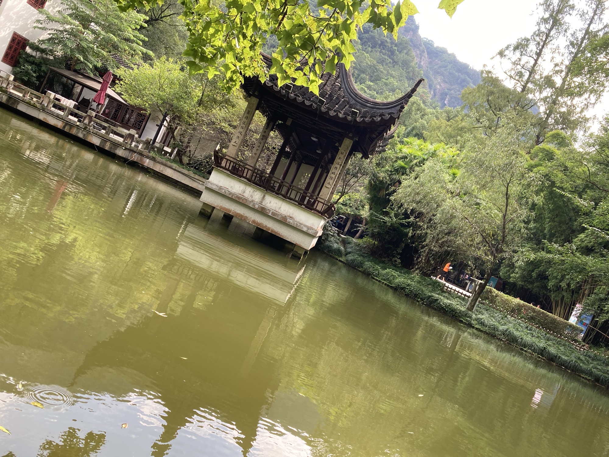 路桥区儿童公园旅行图片 1