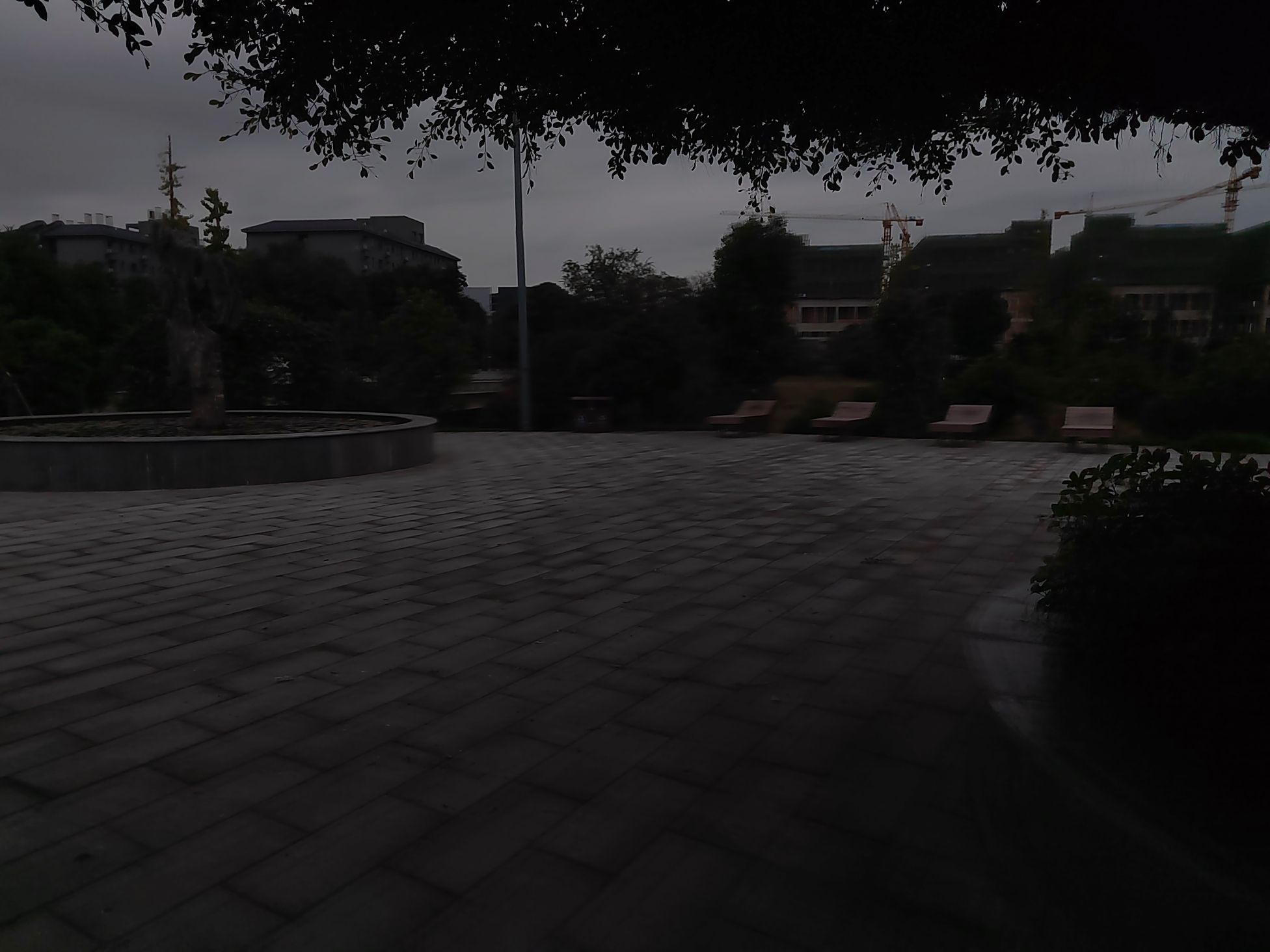 卓家坝滨河公园旅行图片 1