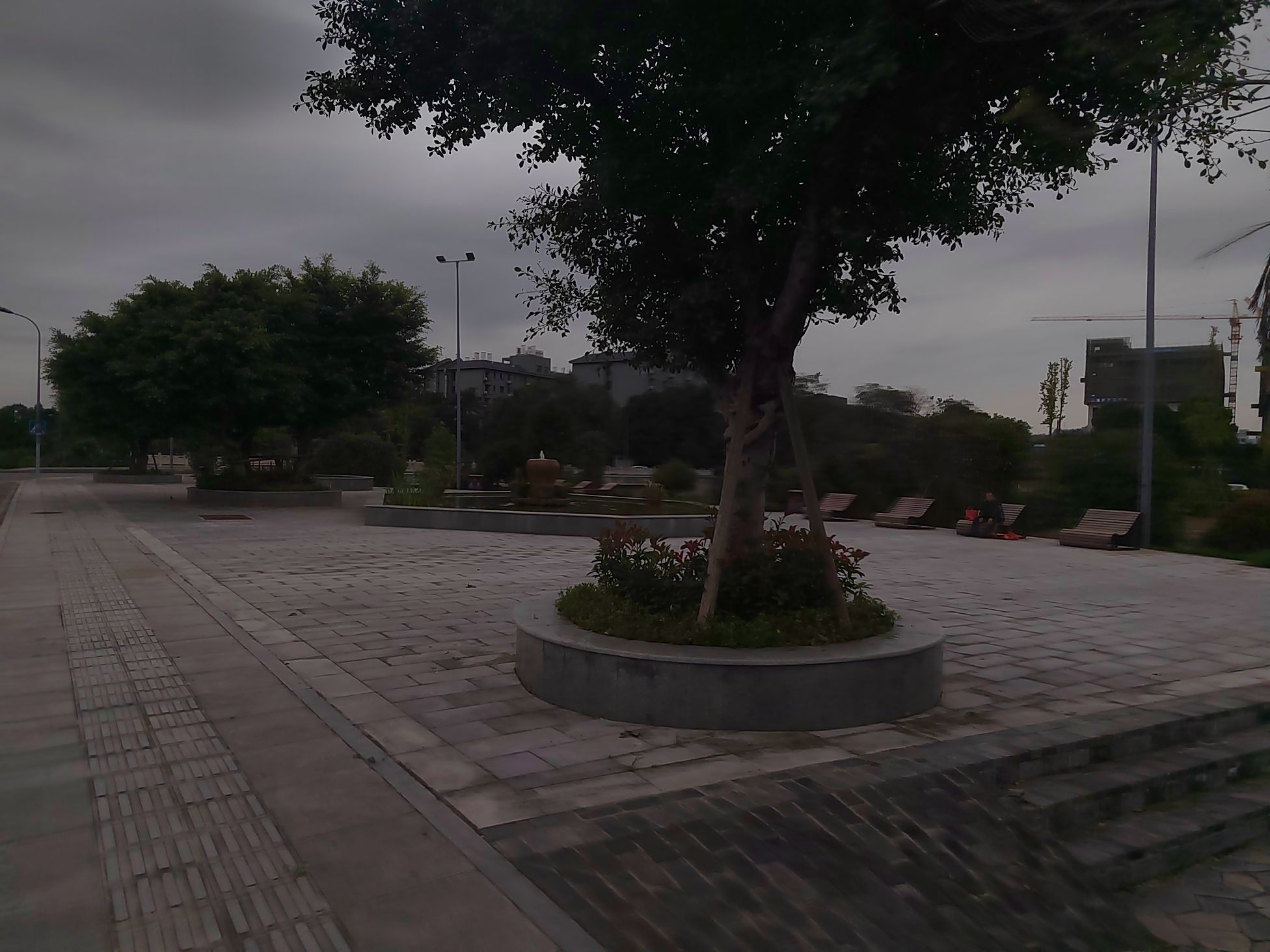 卓家坝滨河公园旅行图片 3
