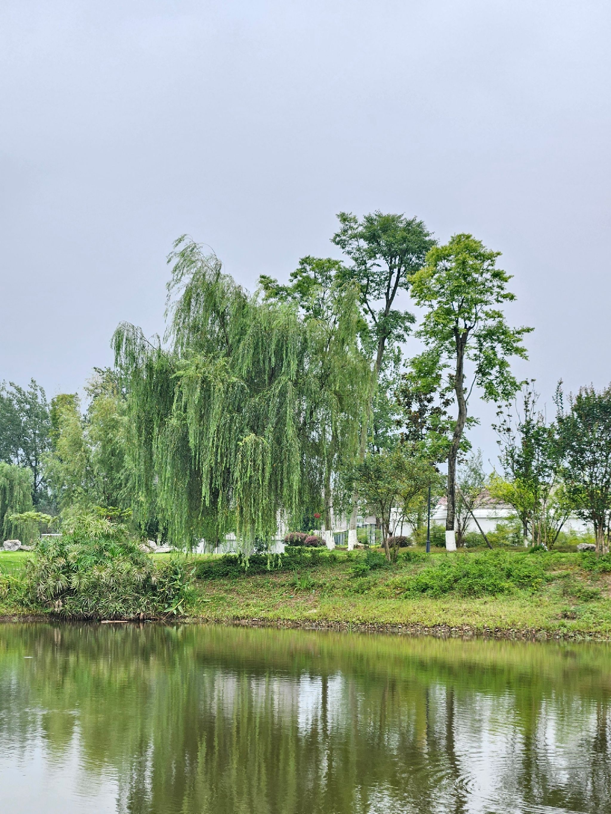 天星湖公园旅行图片 1