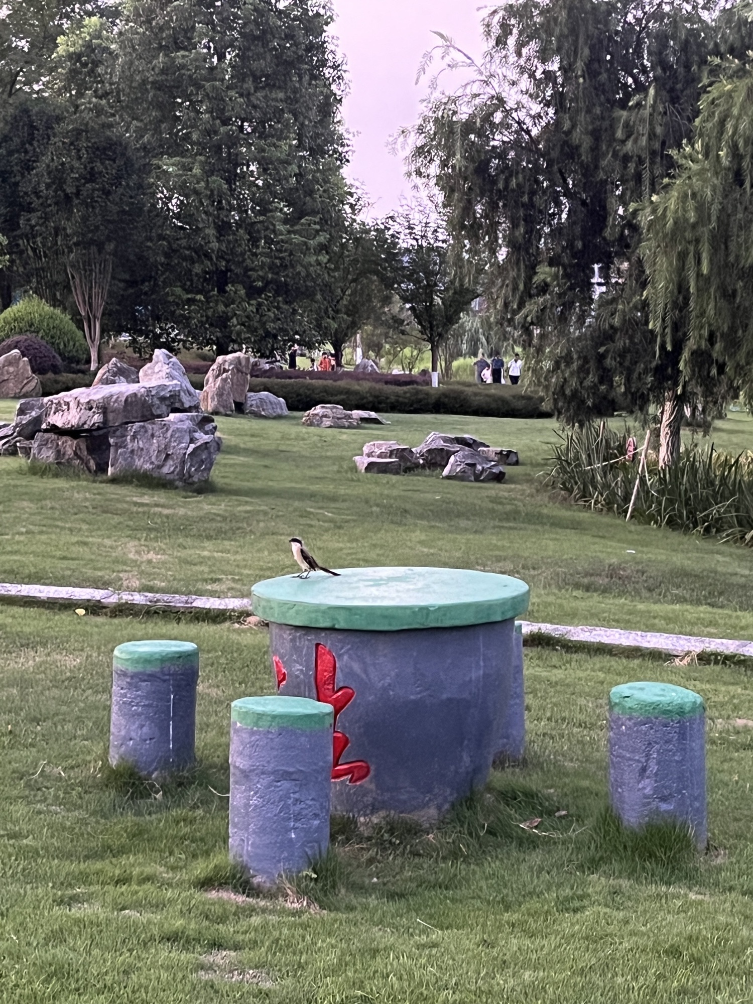 天星湖公园旅行图片 2