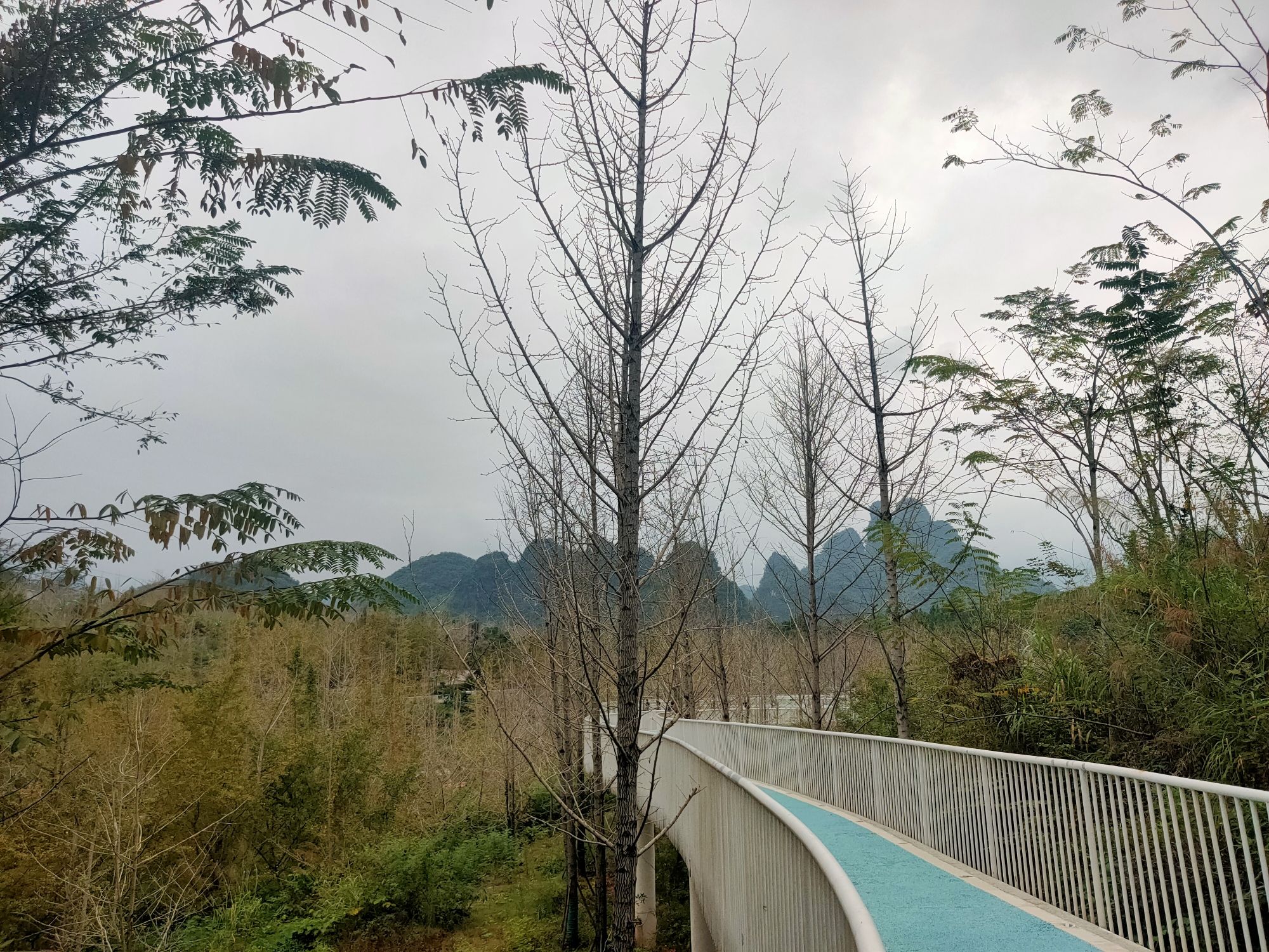 万山朝王国家石漠公园旅行图片 2