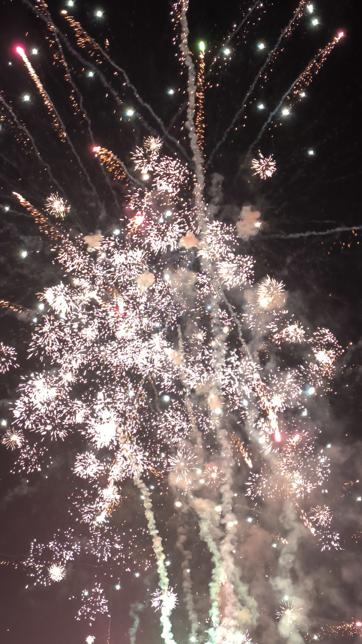 森山国草博览园旅行图片 3