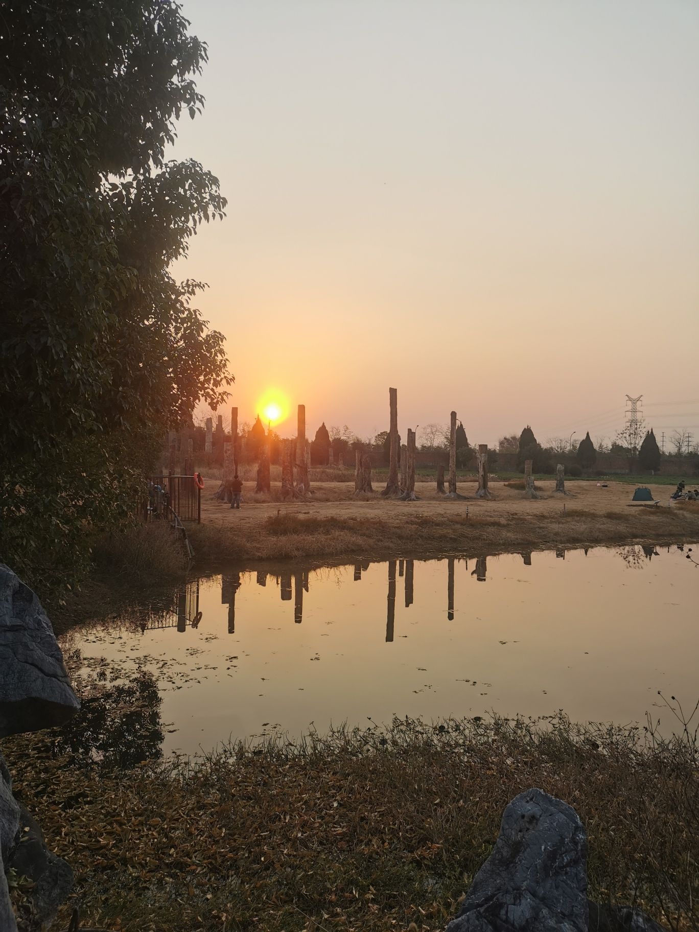 森山国草博览园旅行图片 1