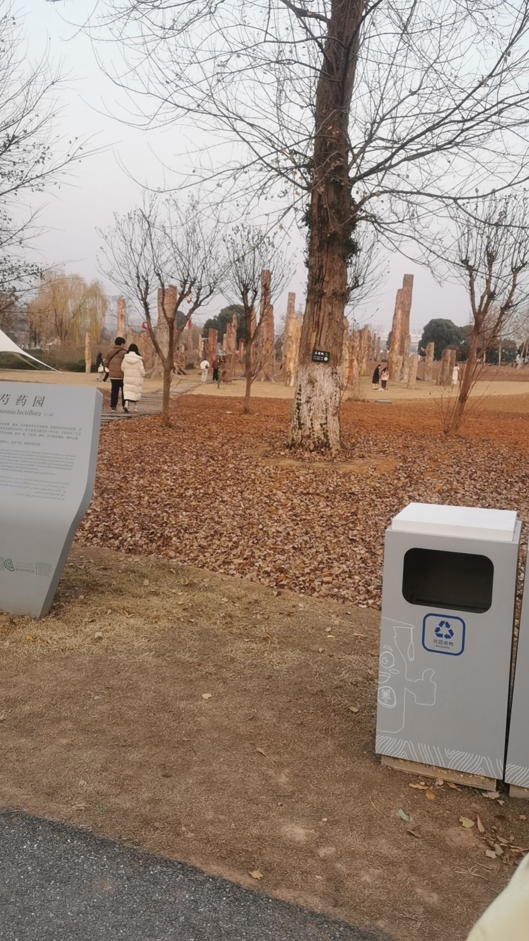 森山国草博览园旅行图片 2