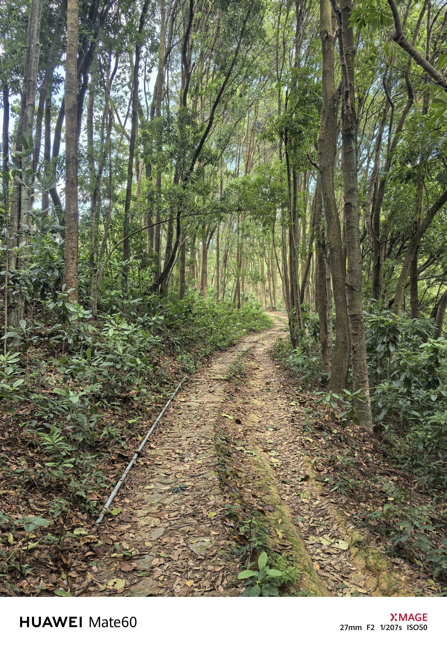 广东阳山国家地质公园贤令山景区旅行图片 3