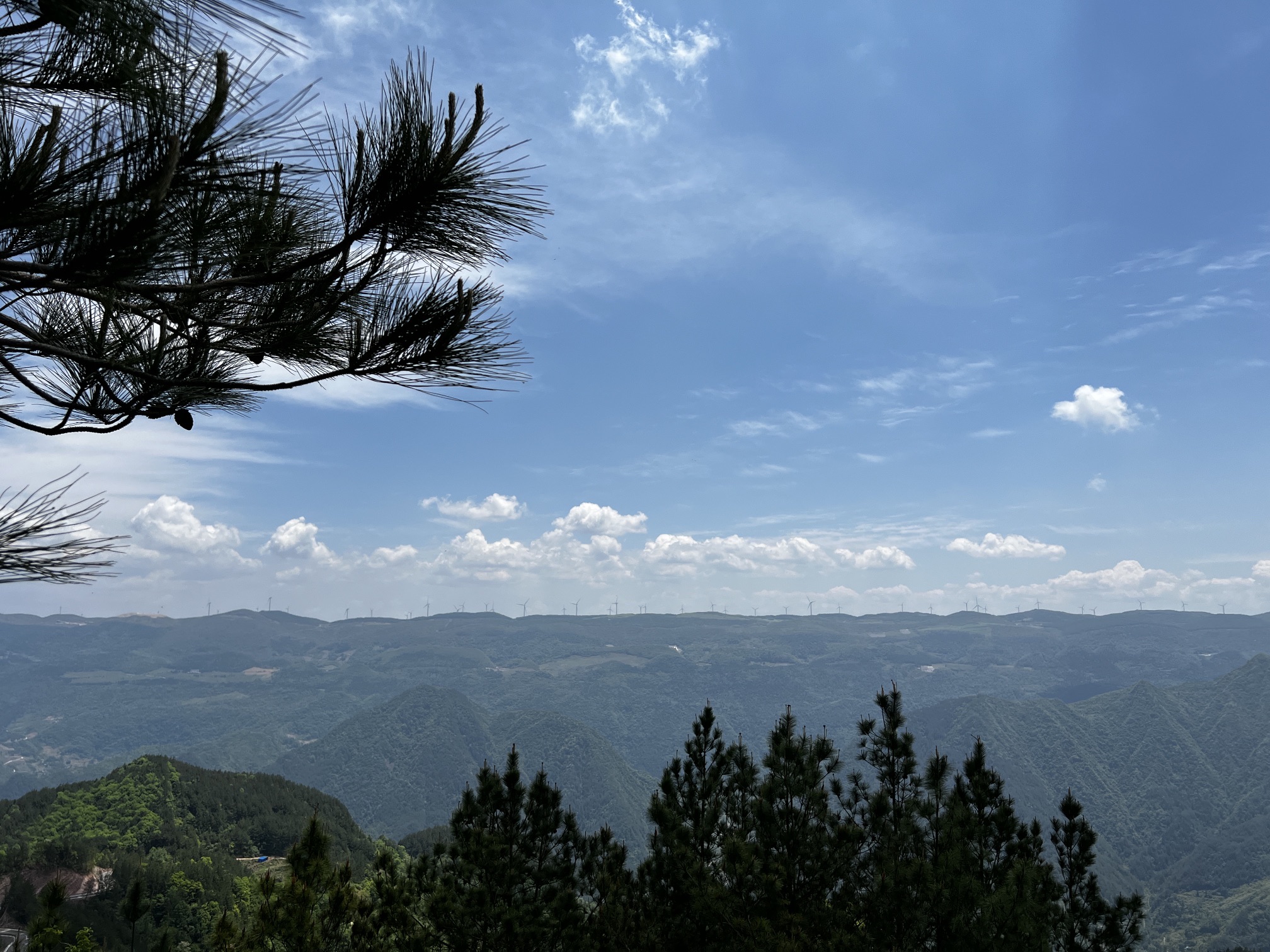 三峡古枫香园旅行图片 3