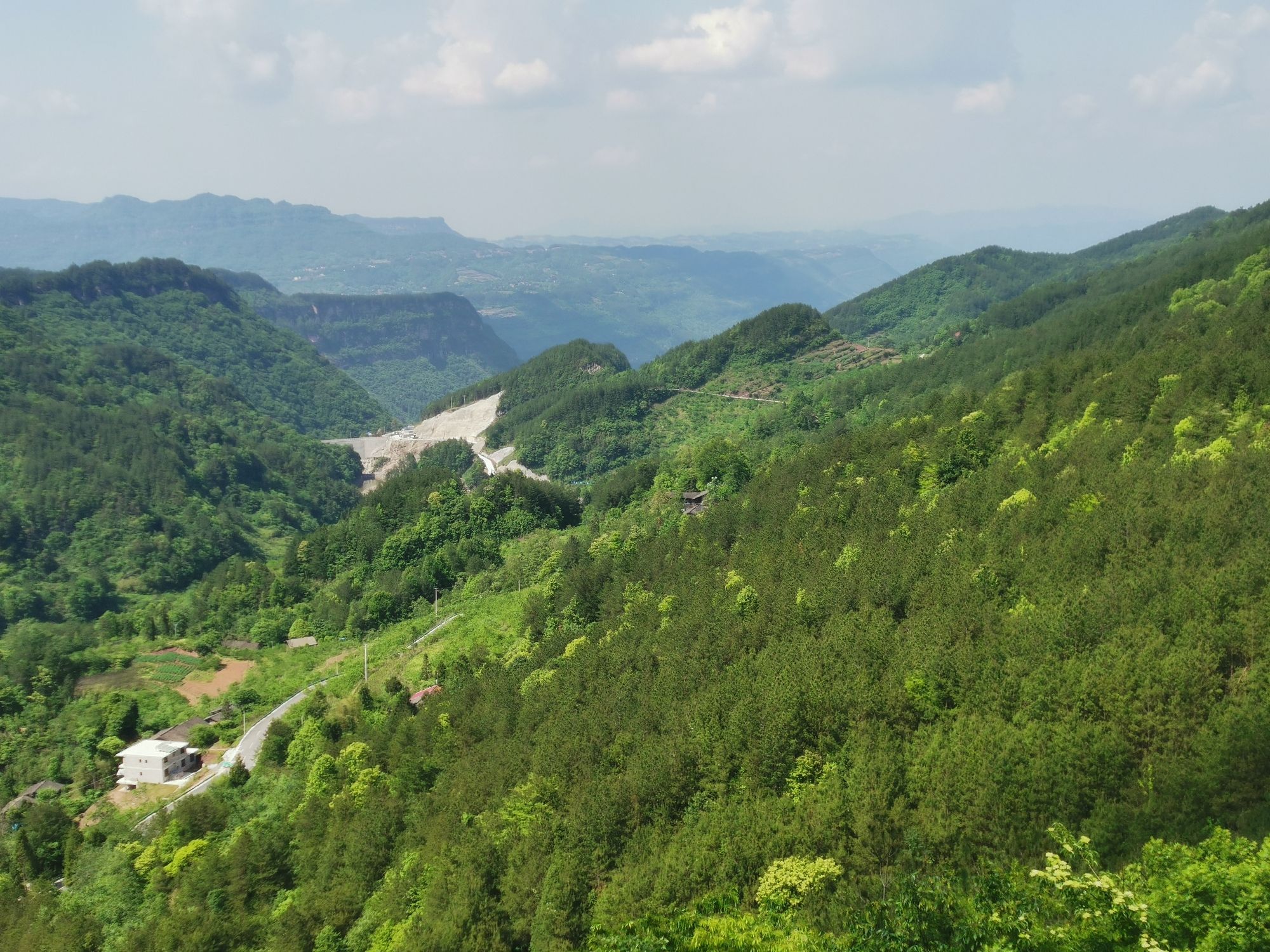 三峡古枫香园旅行图片 1