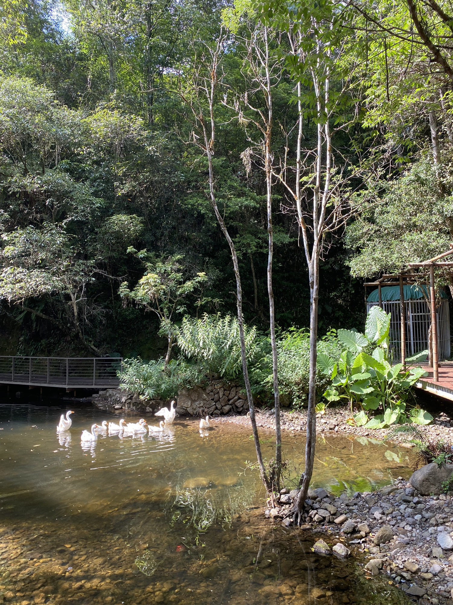 乐峰赤壁度假区旅行图片 1
