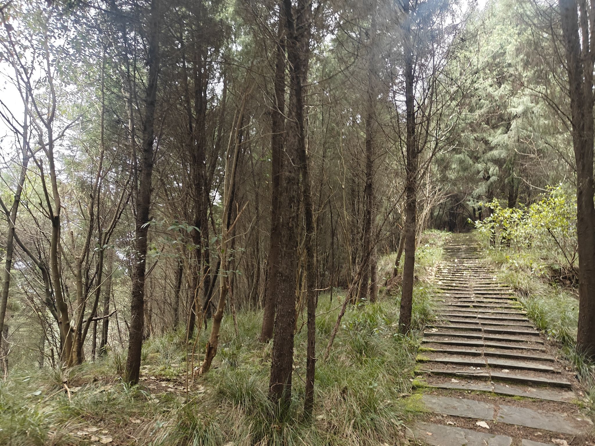 钟鼓楼旅行图片 1