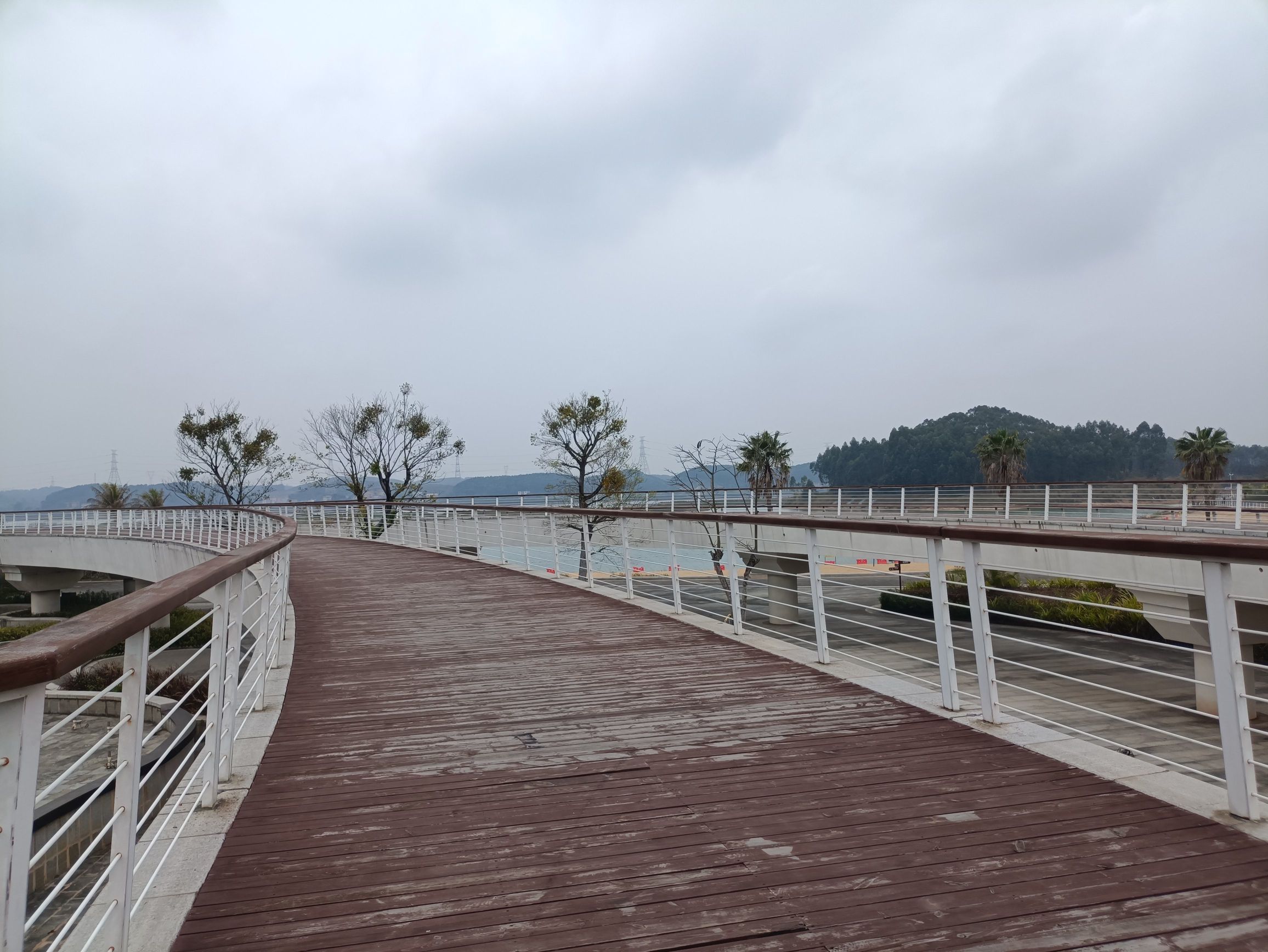孔雀湾公园旅行图片 3