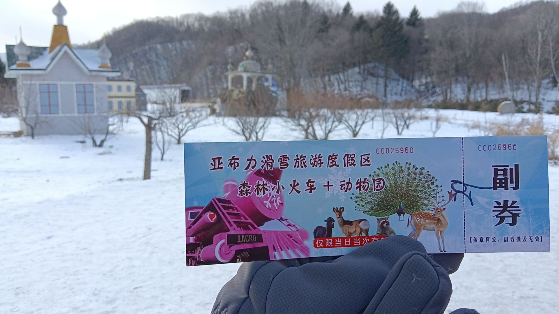 亚布力森林小火车(俄罗斯风情园)旅行图片 2