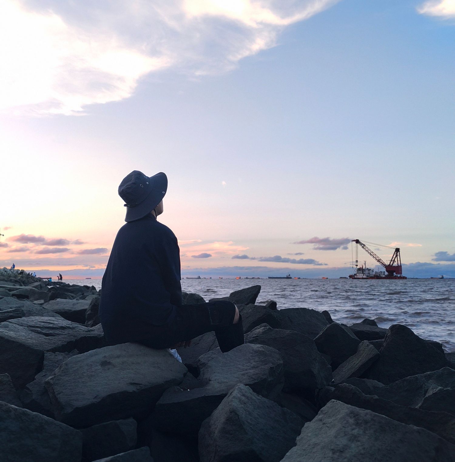 高桥海塘抢险纪念地旅行图片 1