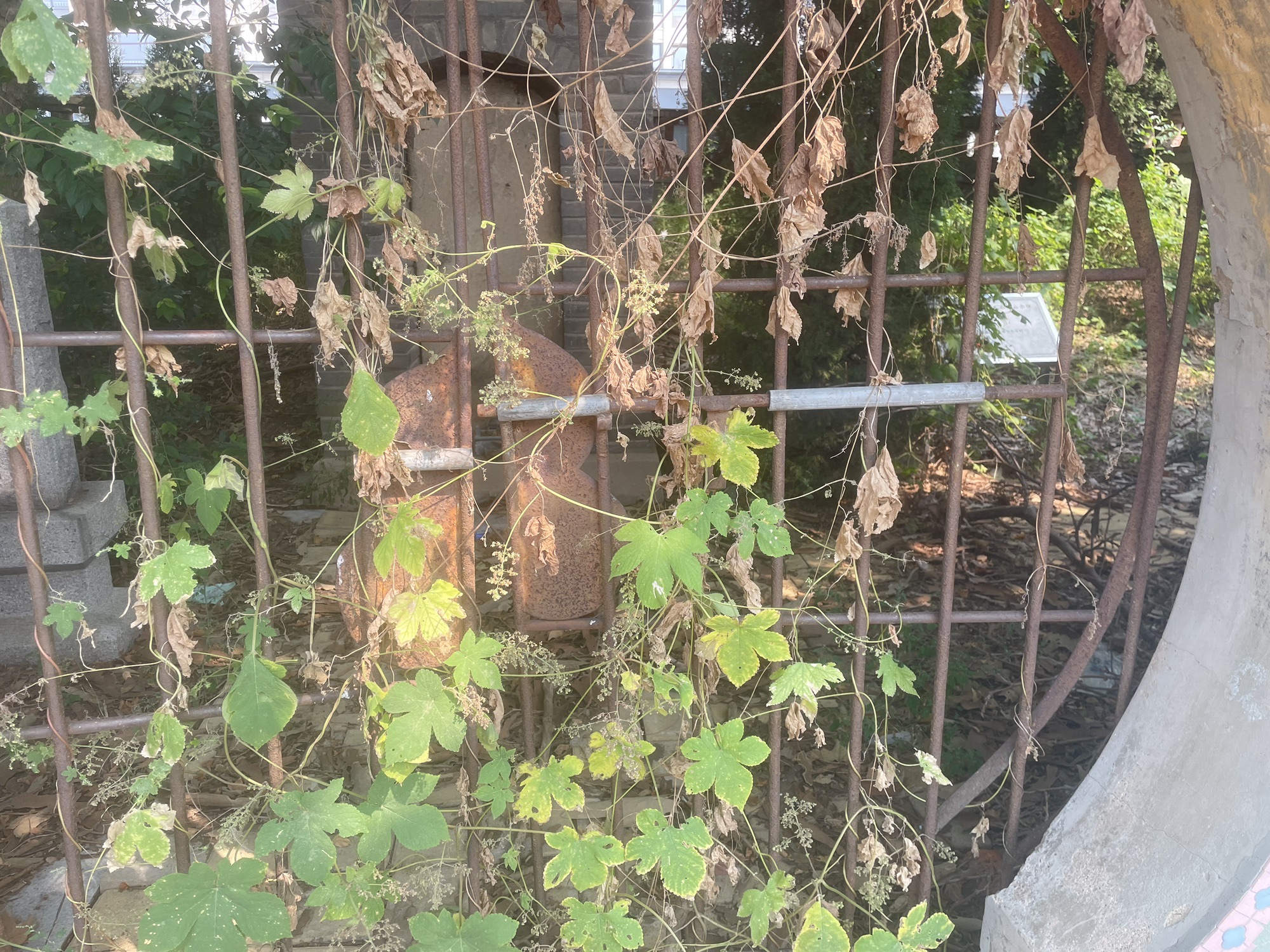宋代刘若拙墓旅行图片 1