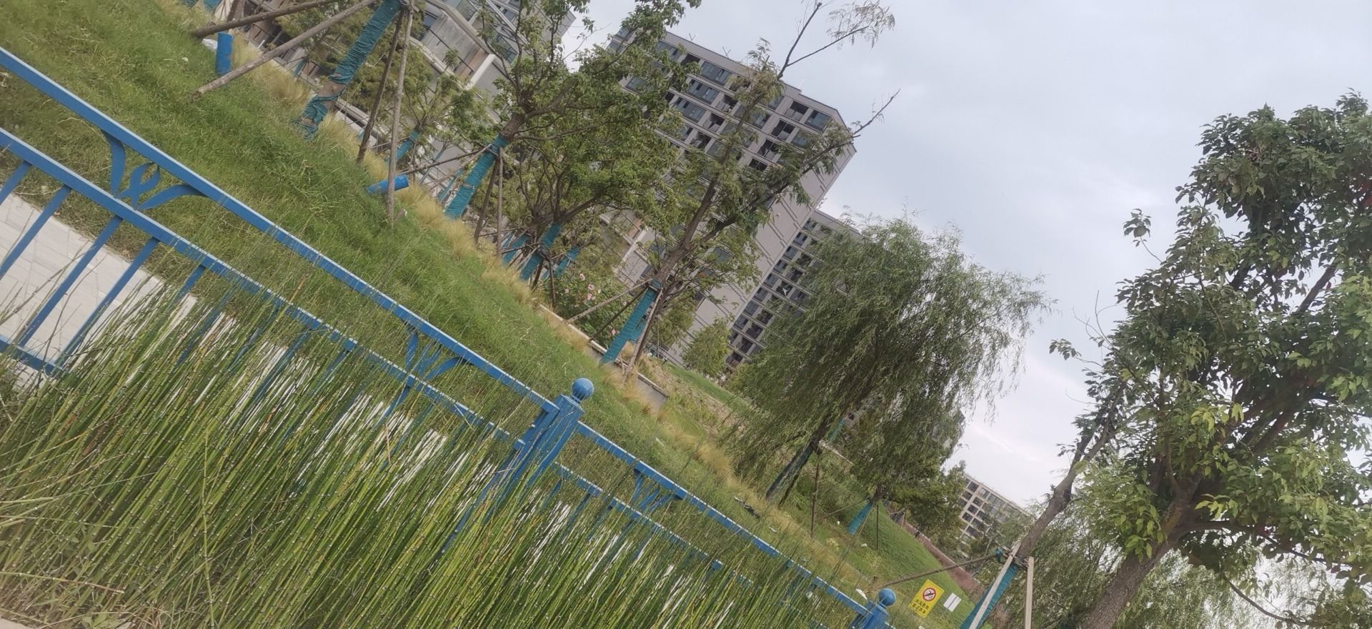 蓝湾公园旅行图片 1