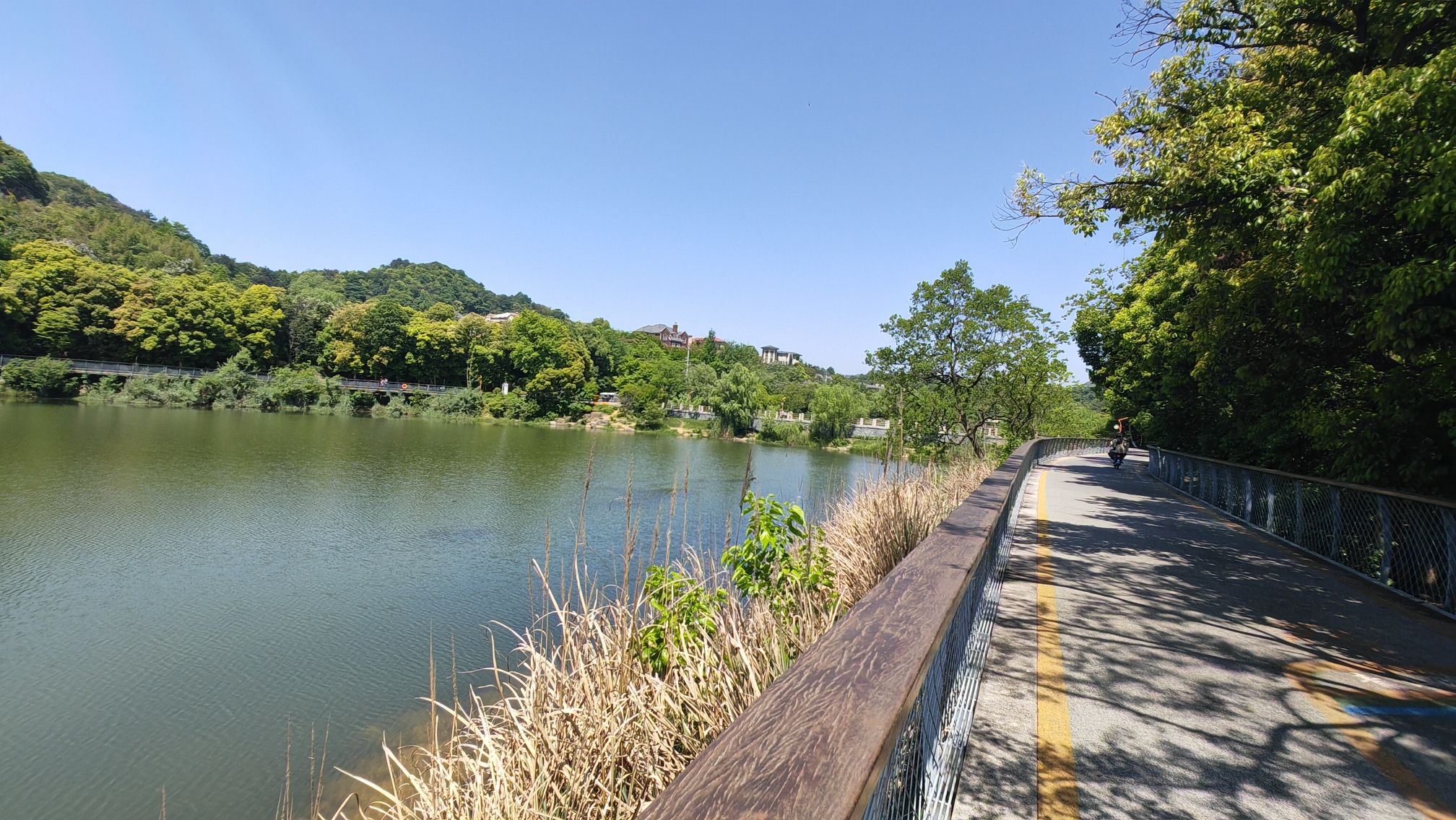 辽源凤鸣湖国家湿地公园旅行图片 3