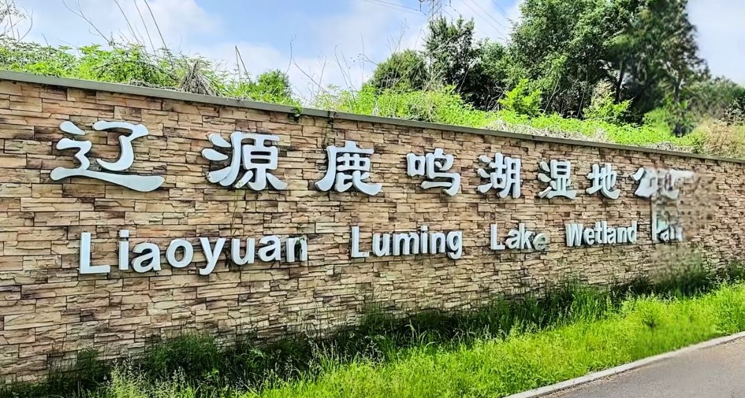 辽源凤鸣湖国家湿地公园