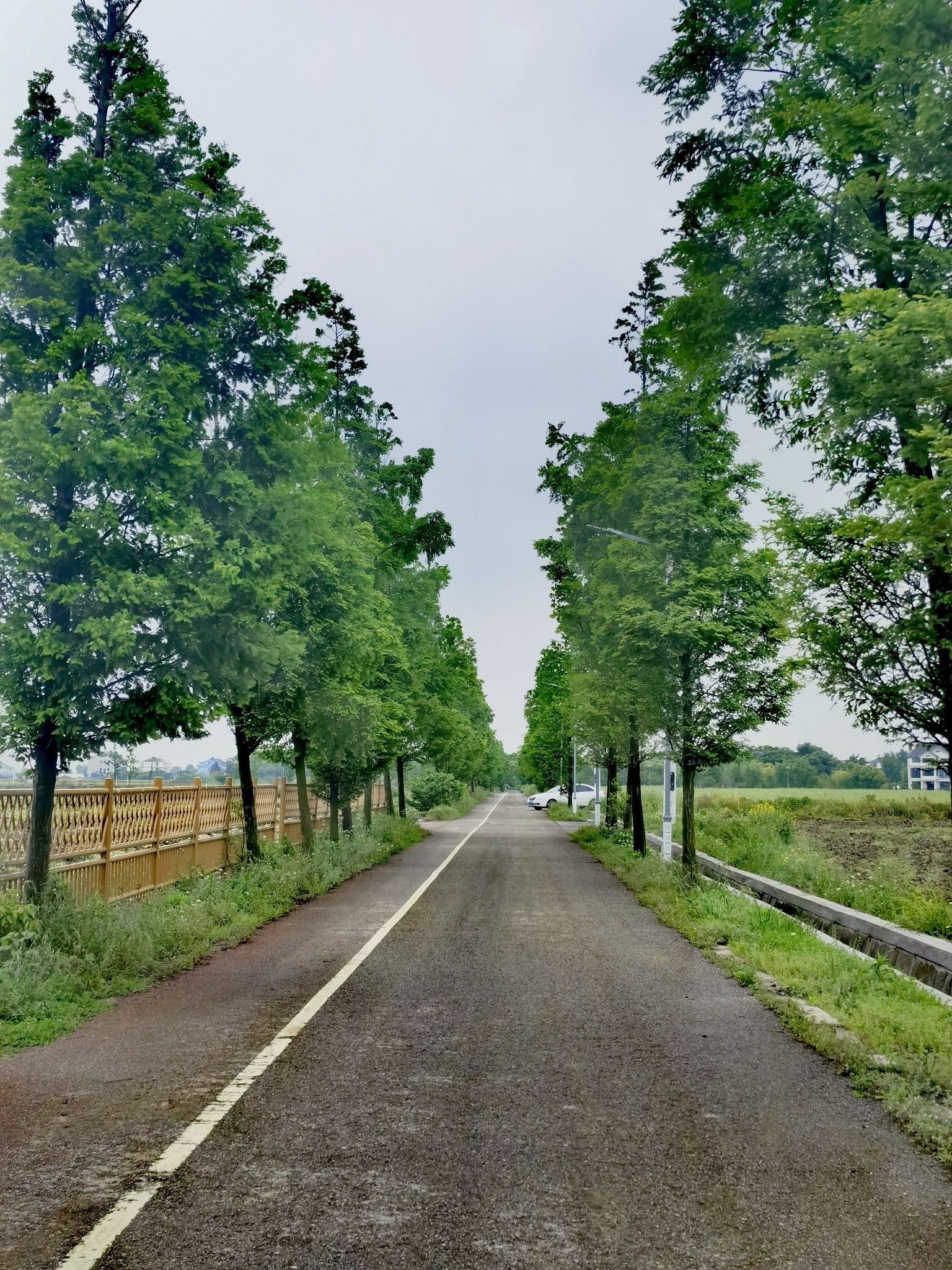 稻香小镇旅行图片 3