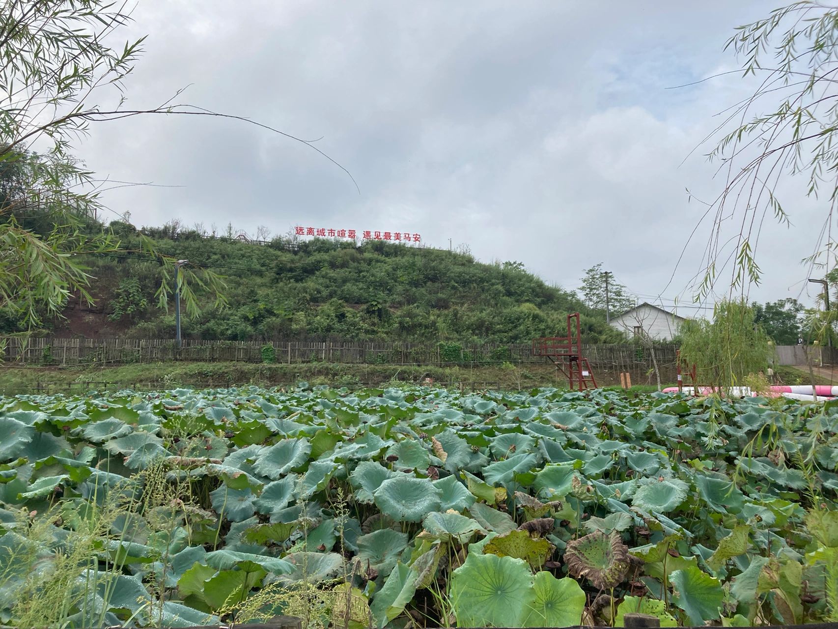 马安小镇·农场旅行图片 2