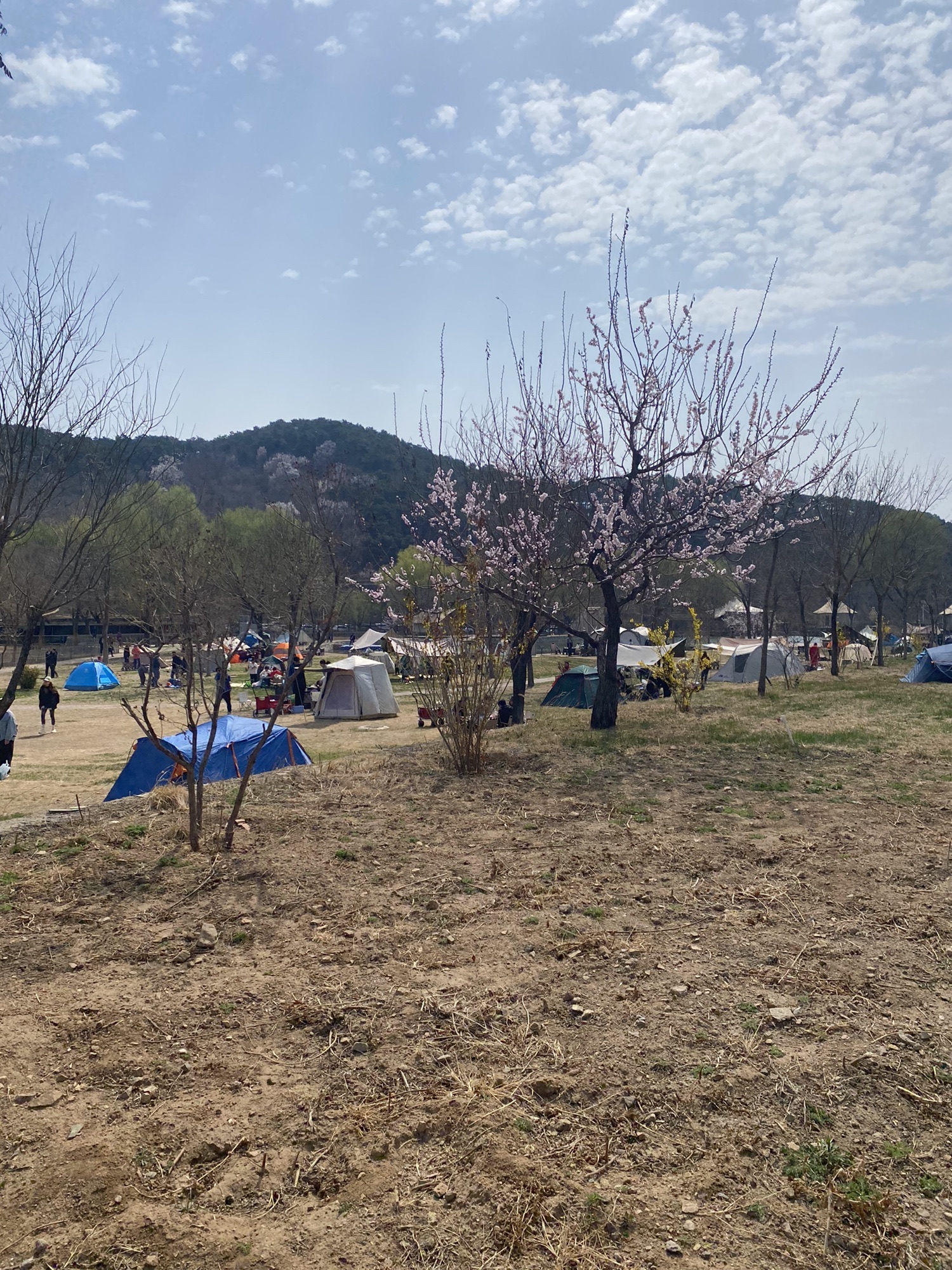 日光山谷旅行图片 3