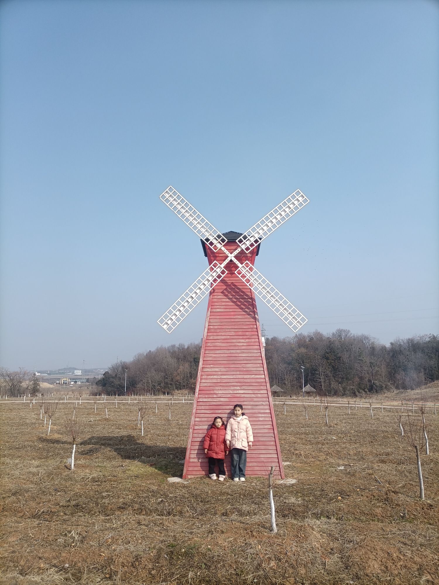 黄屯花海旅行图片 3