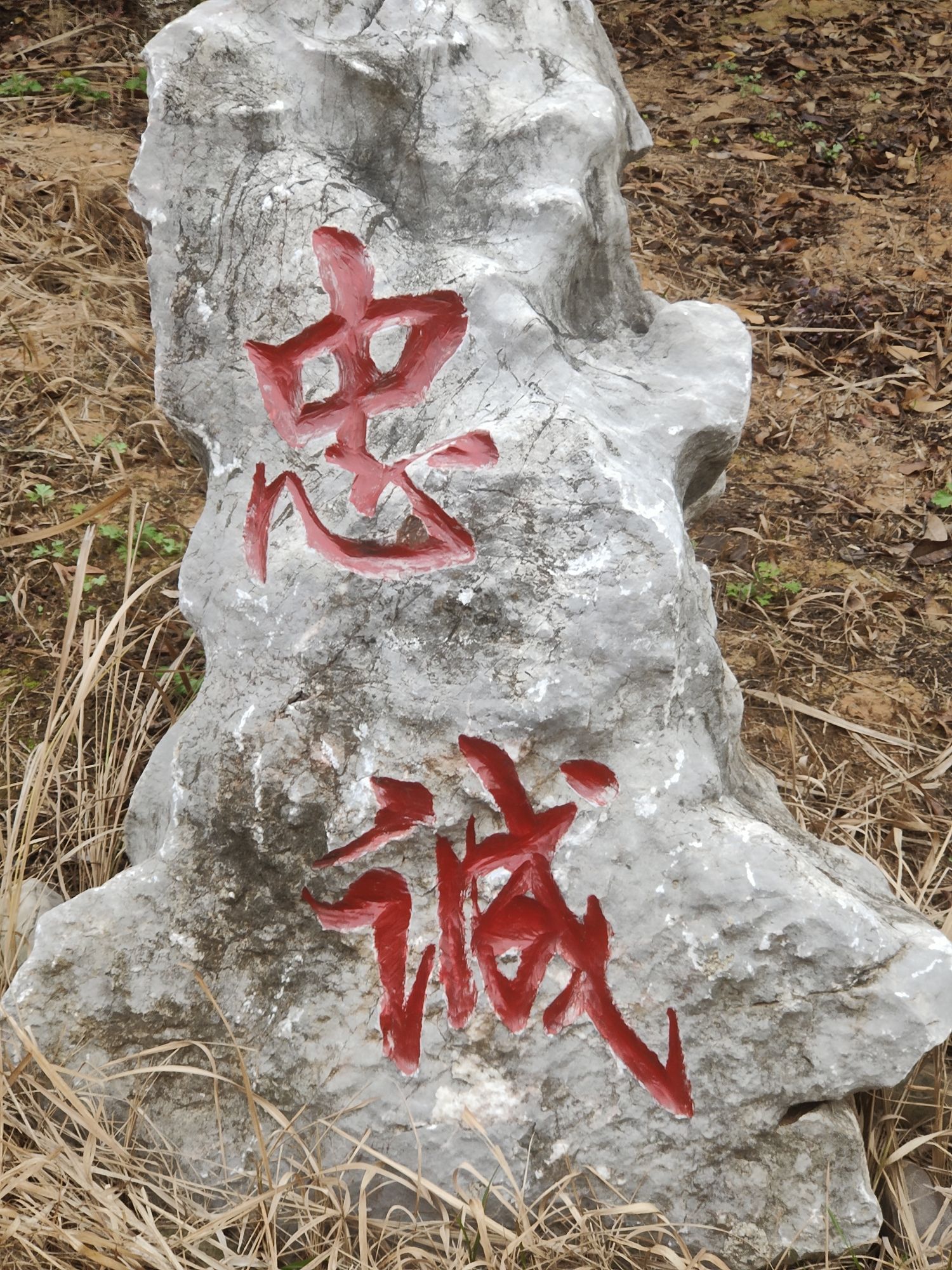 常德泰顺国防园旅行图片 2