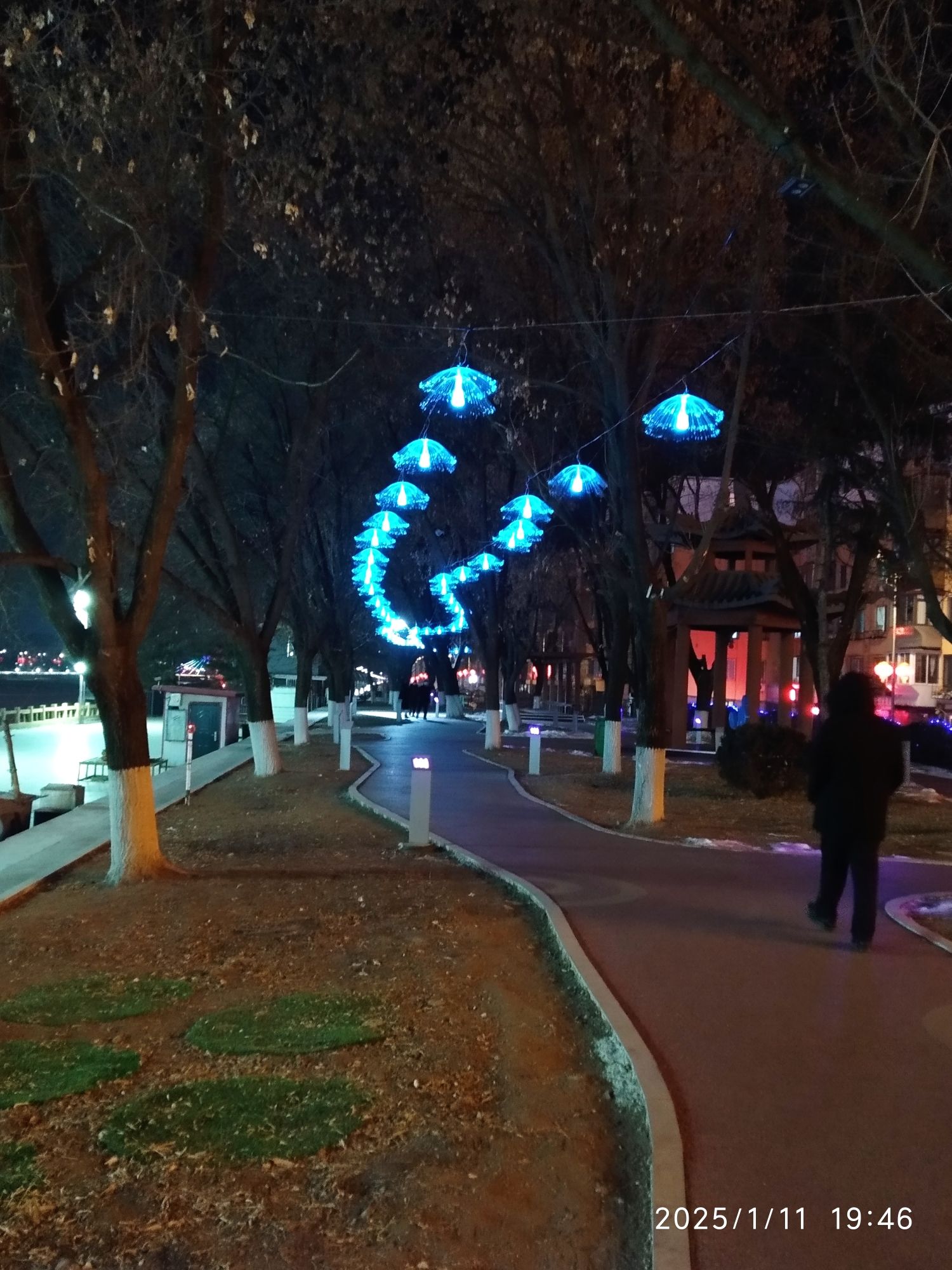 河滨园旅行图片 1