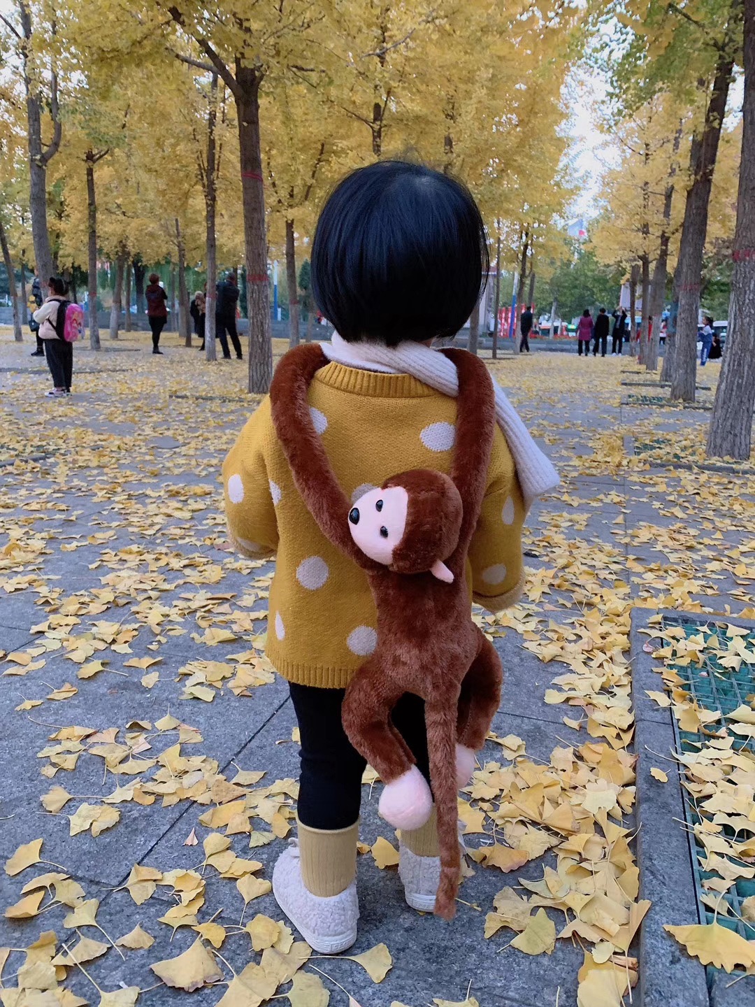 双拥主题公园旅行图片 3