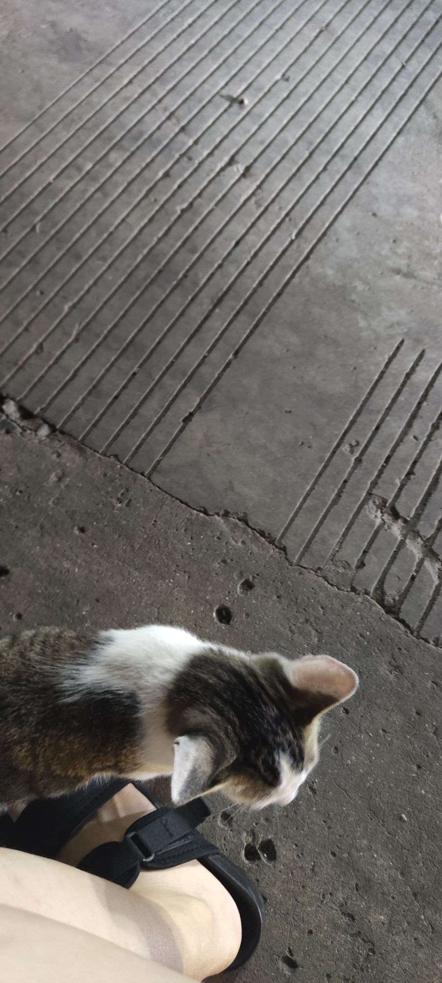 欢乐体育公园旅行图片 3