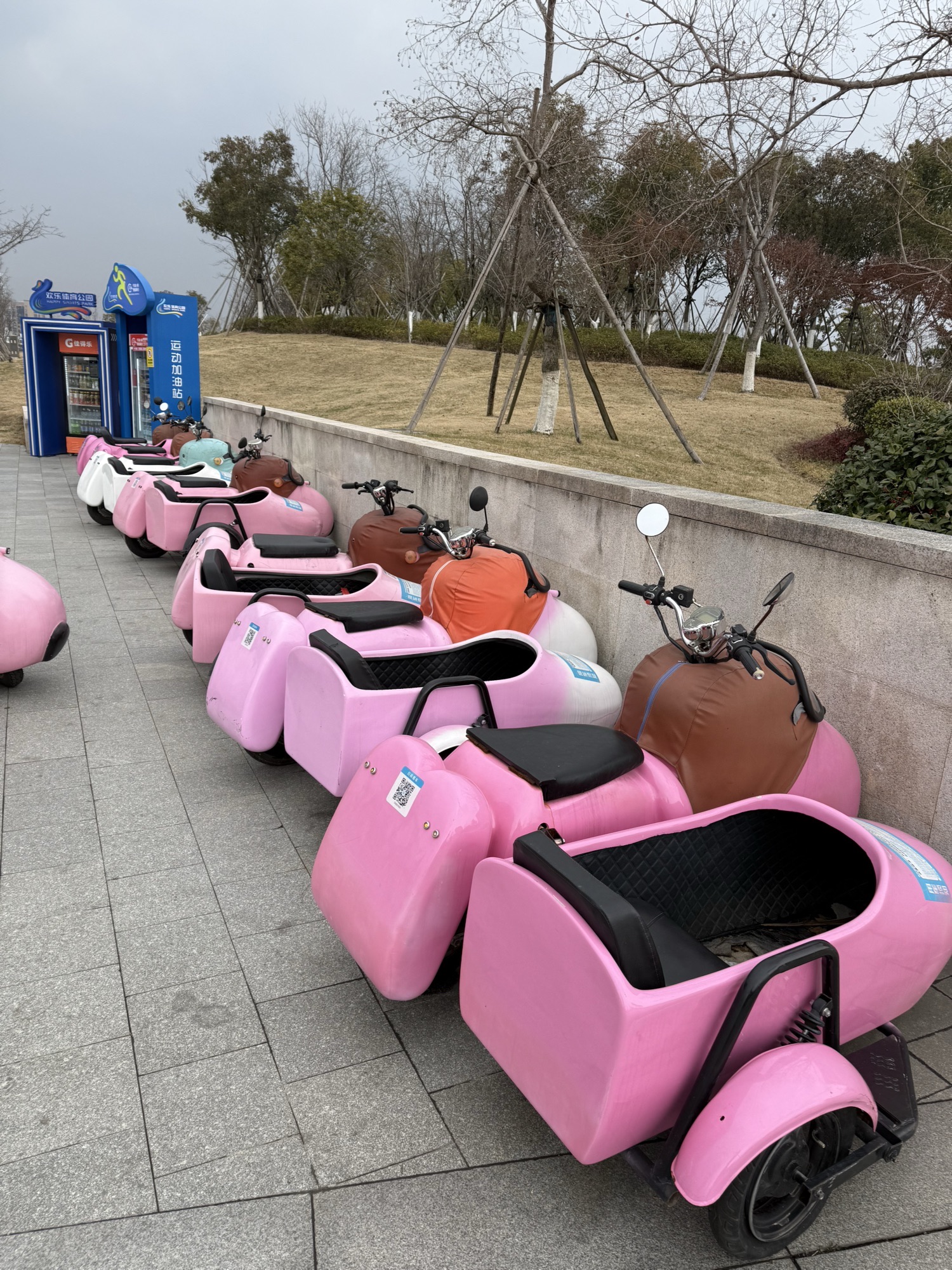 欢乐体育公园旅行图片 3