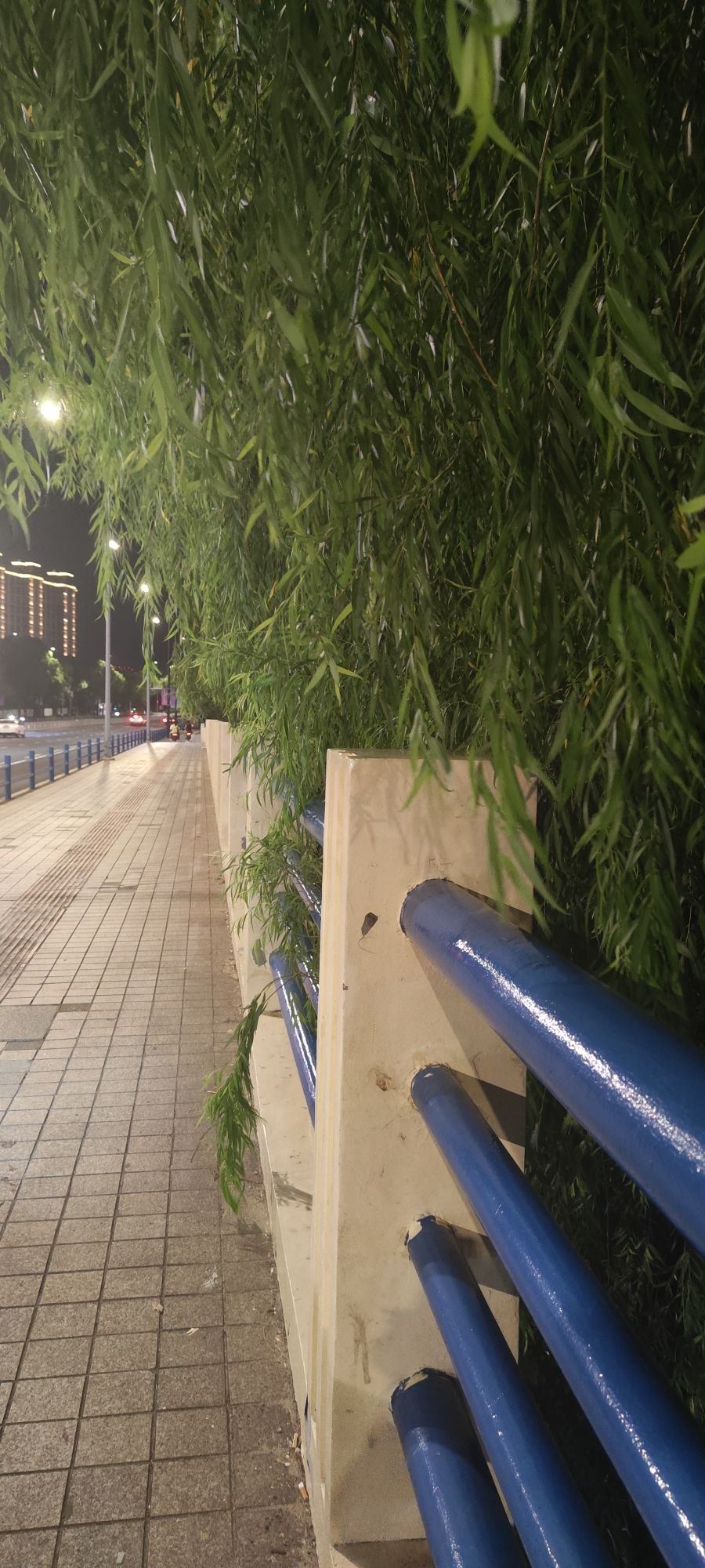 欢乐体育公园旅行图片 2