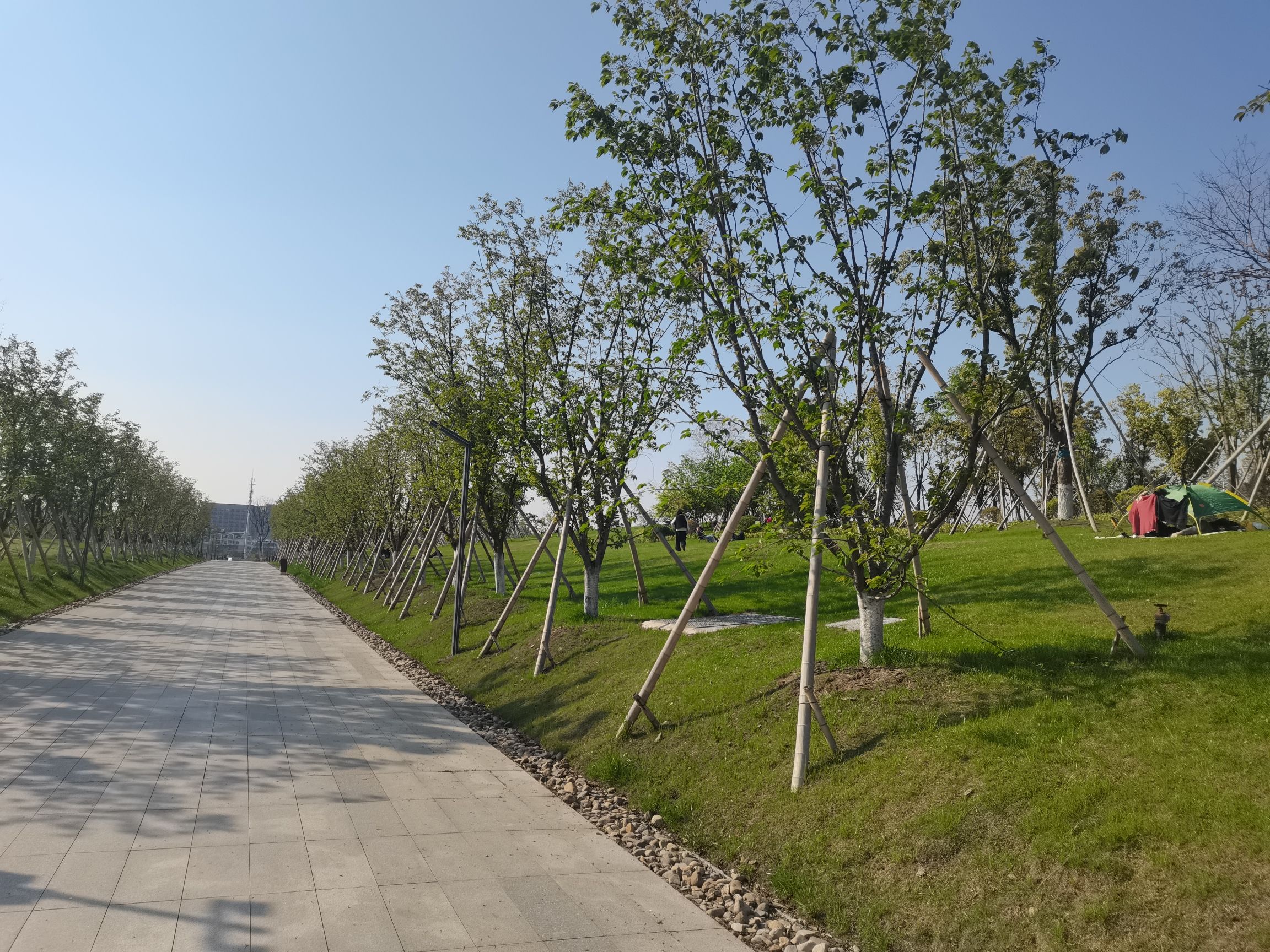 欢乐体育公园旅行图片 1