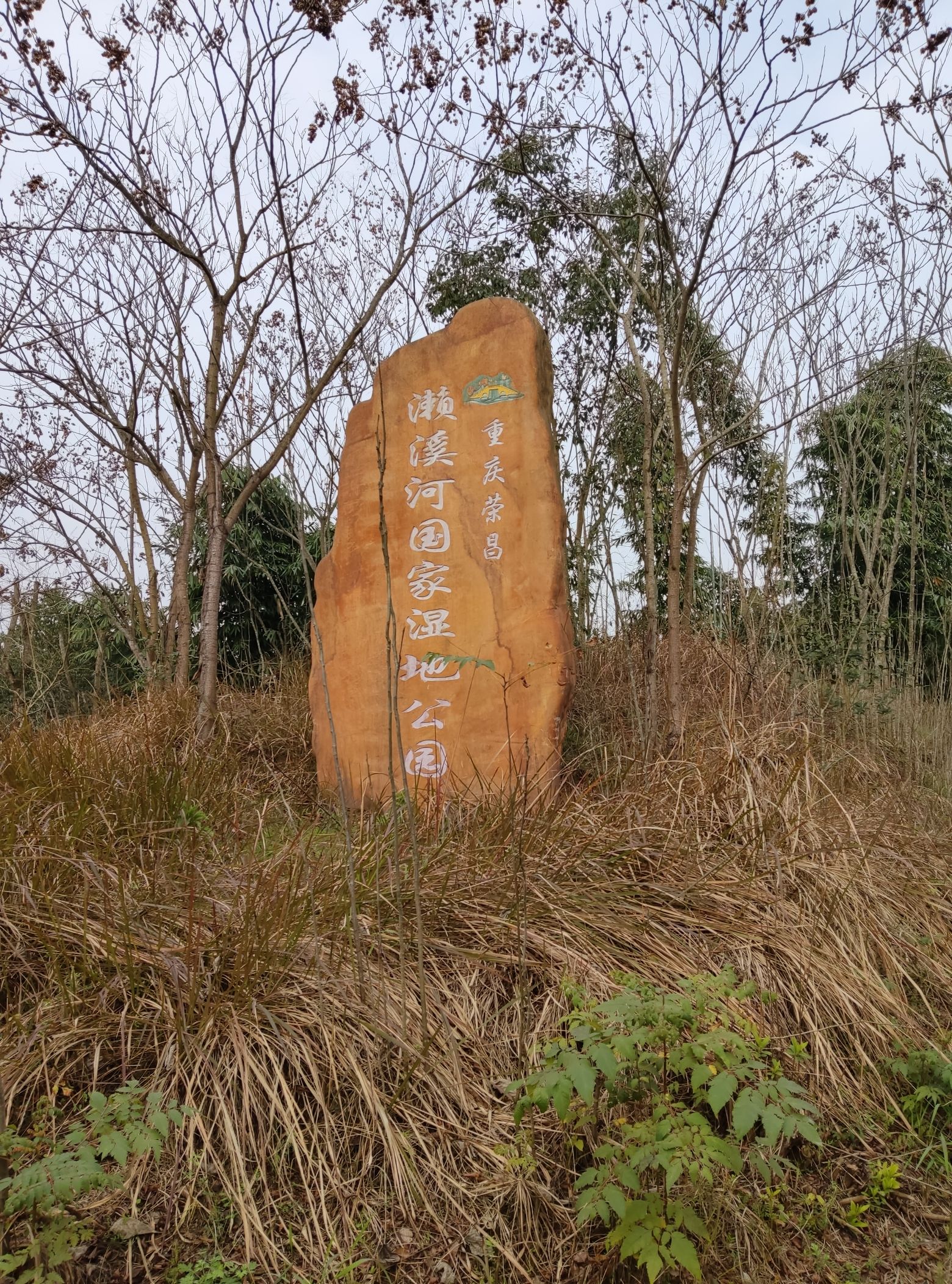 重庆荣昌濑溪河国家湿地公园旅行图片 1
