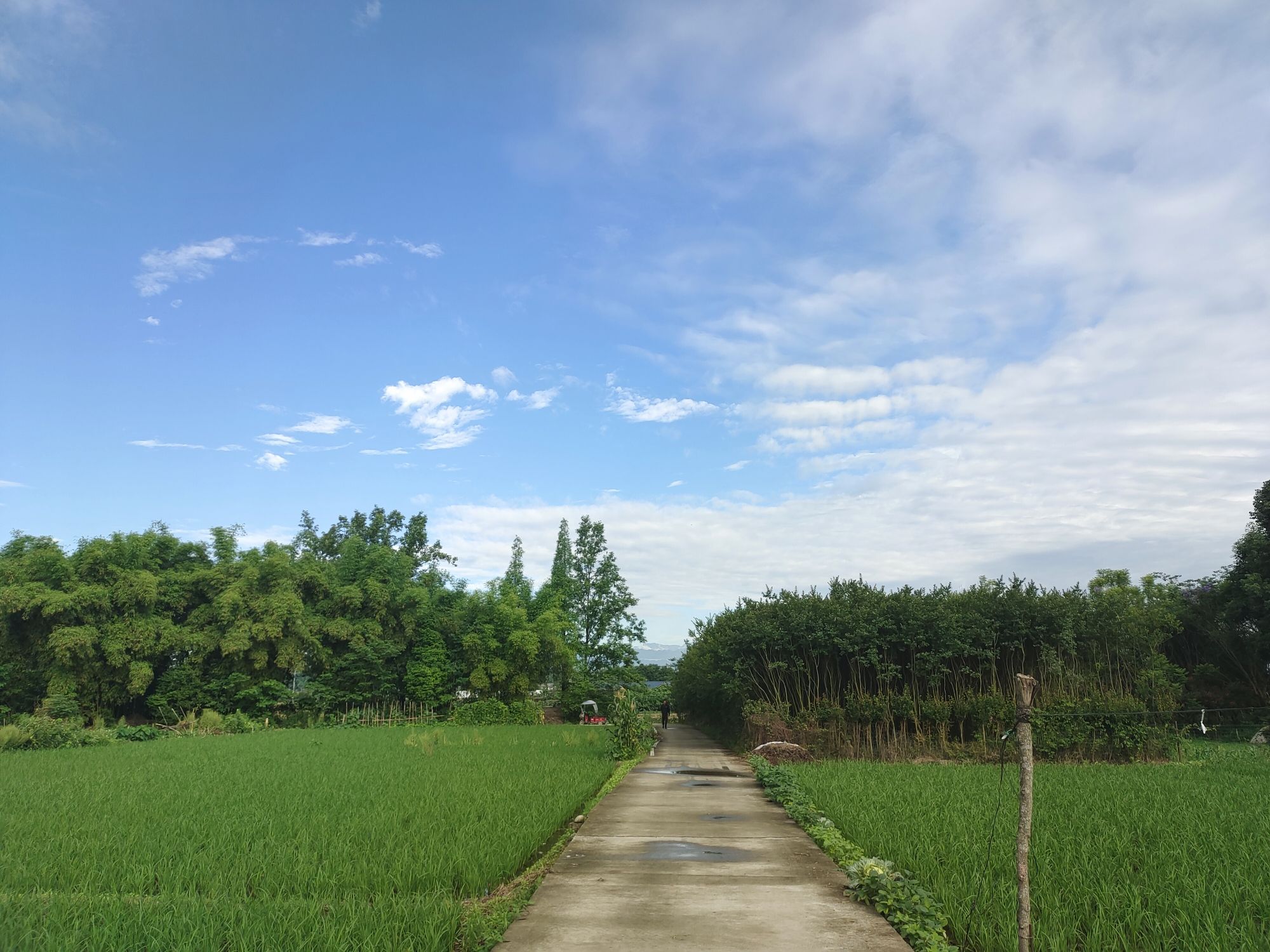 重庆荣昌濑溪河国家湿地公园旅行图片 3